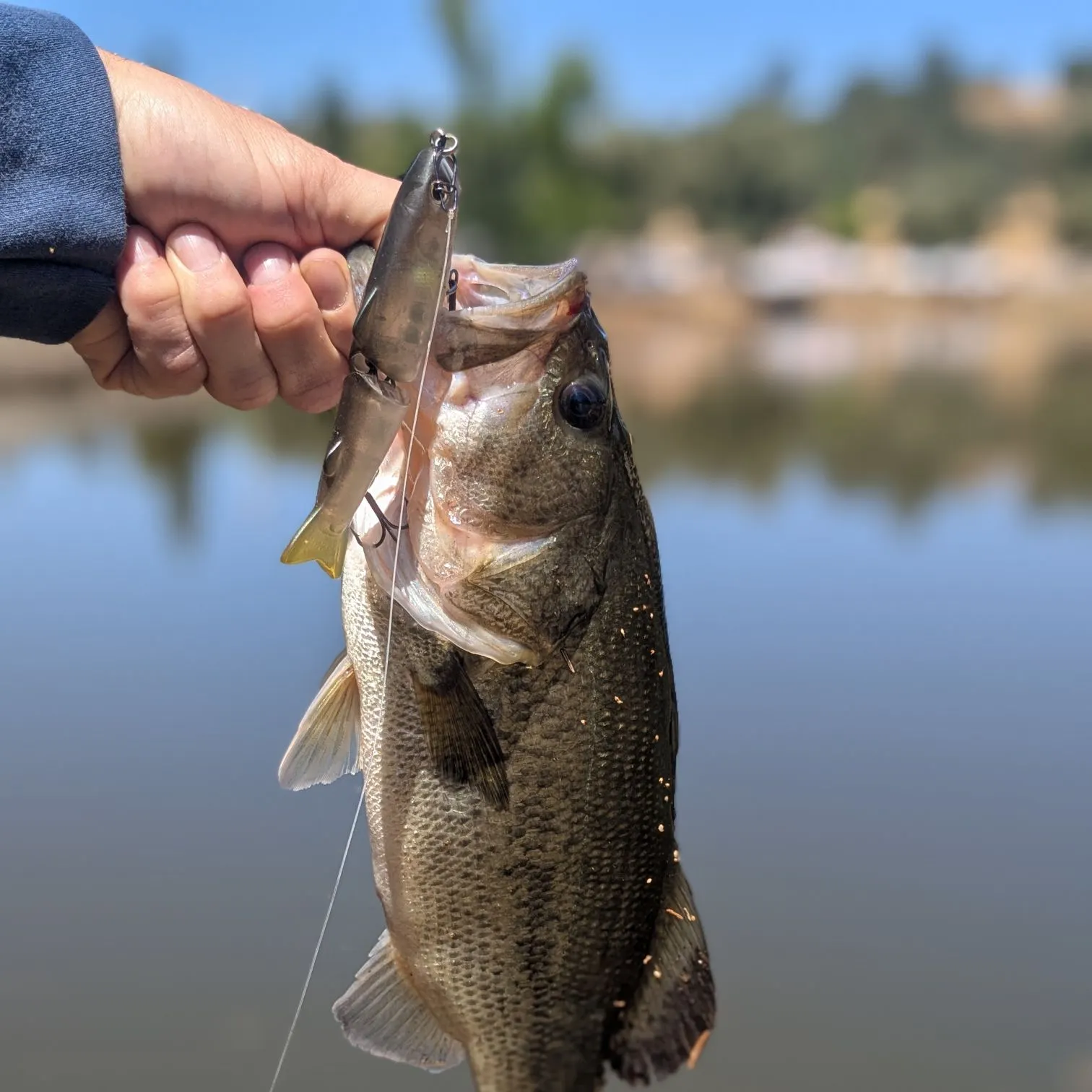 angler catch