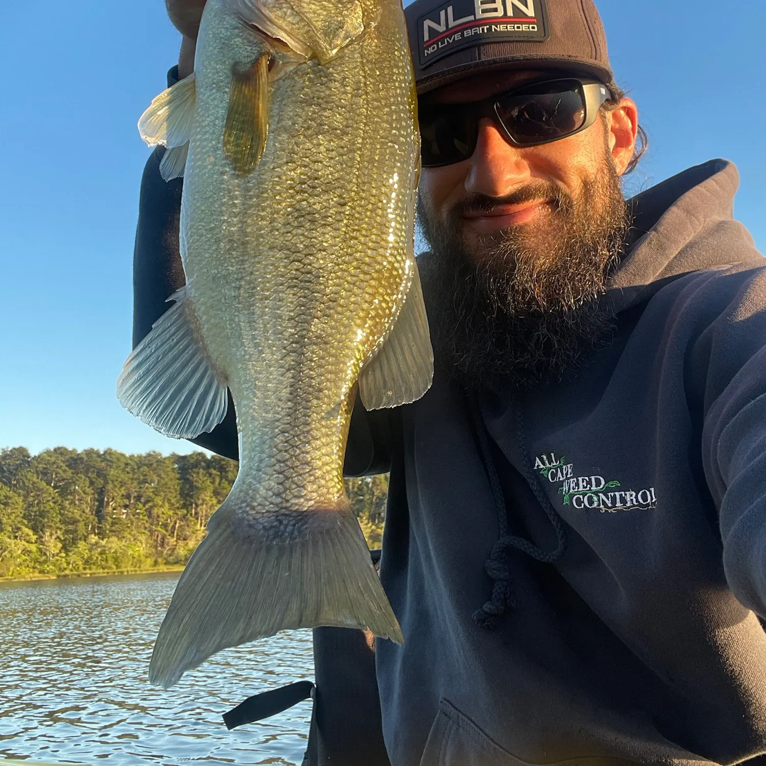 Largemouth bass caught on Fishbrain