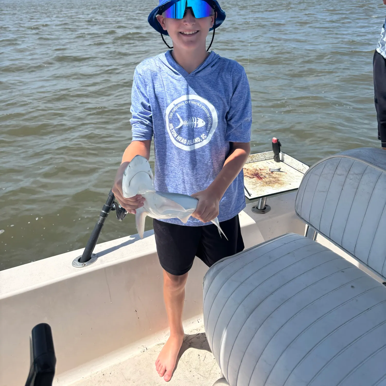 The most recent Finetooth shark catches on Fishbrain