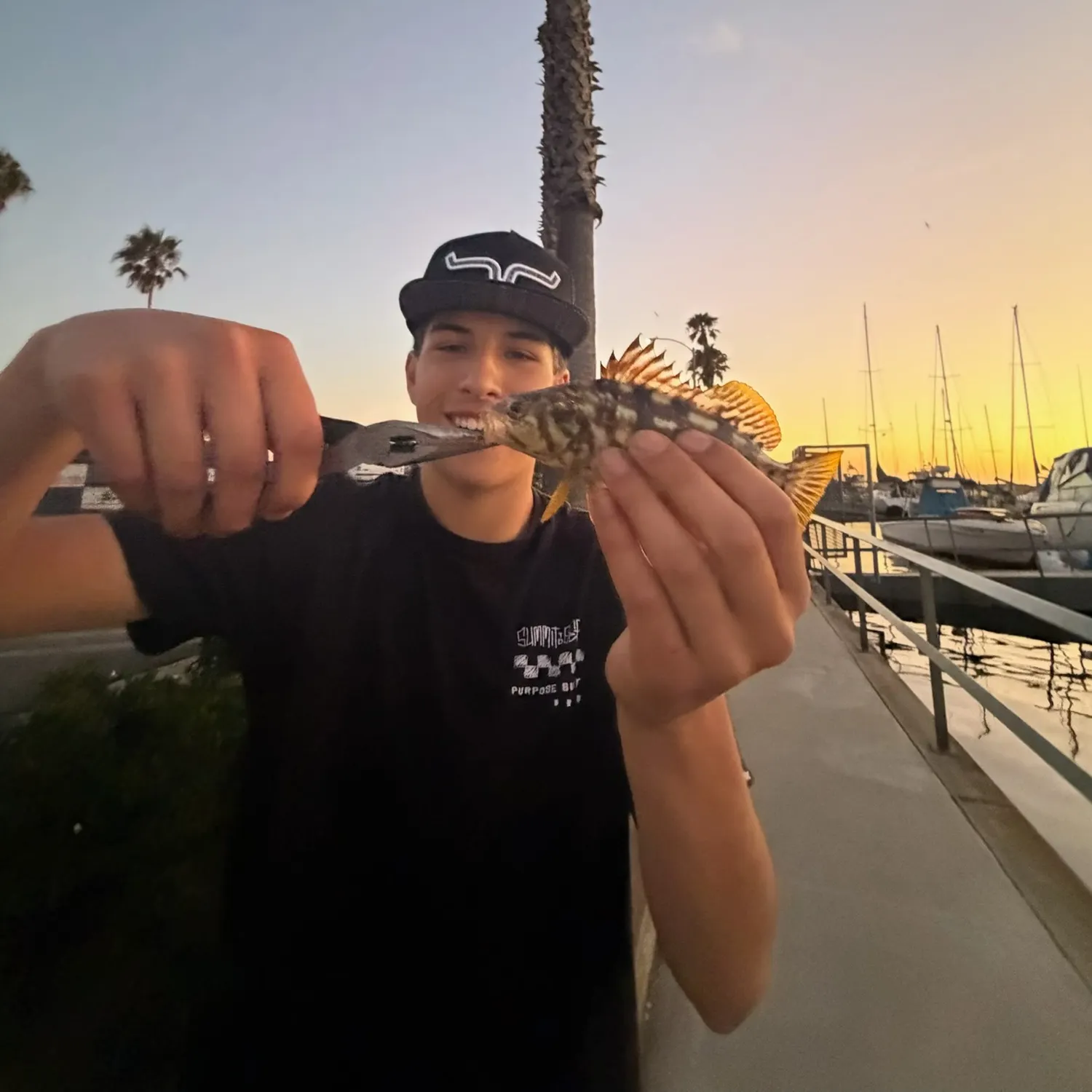 catch