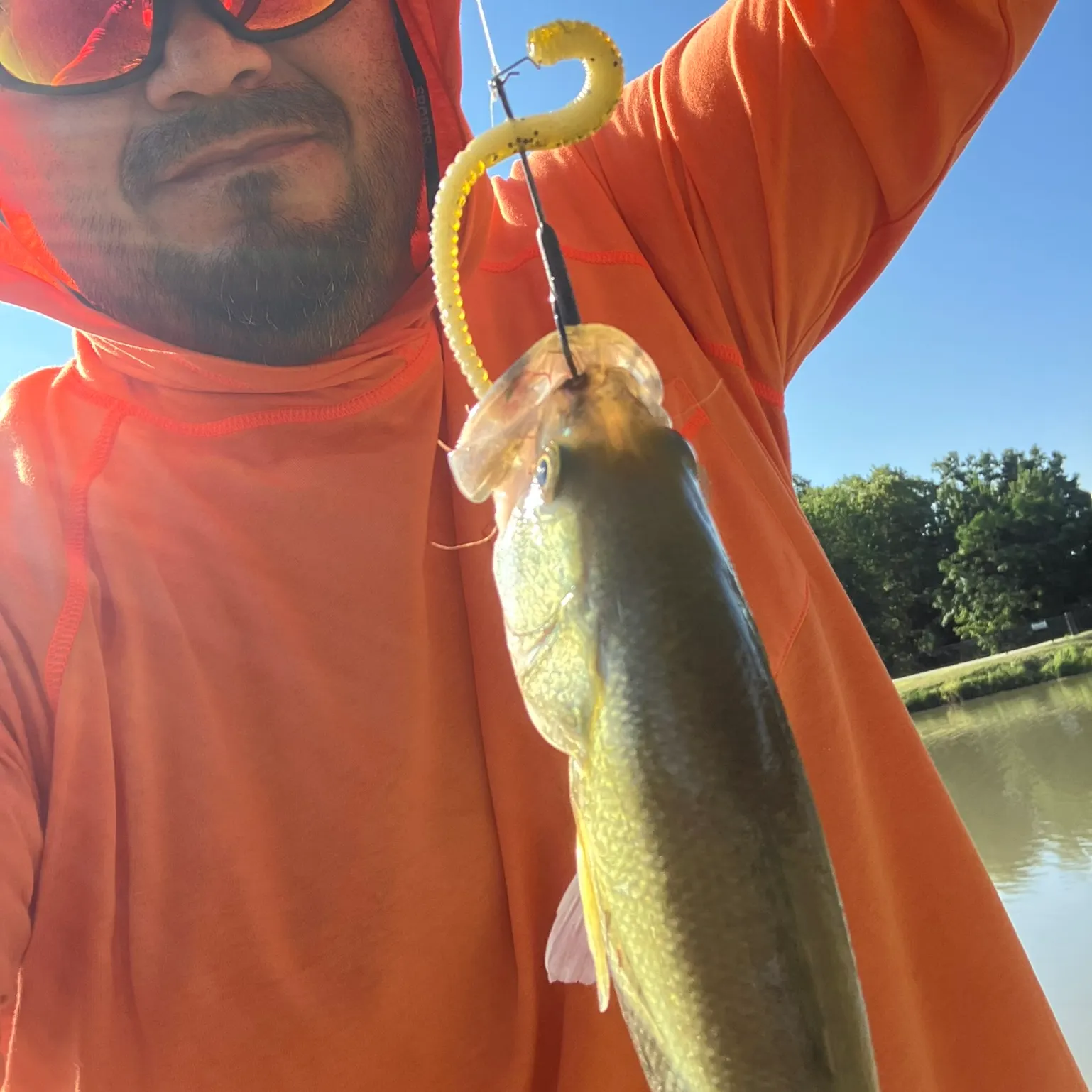 Largemouth bass caught on Fishbrain