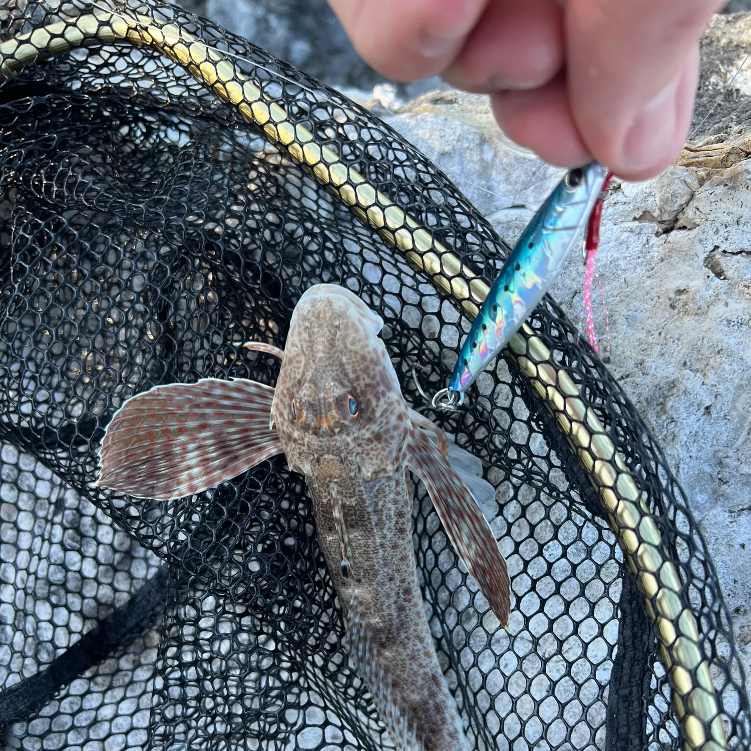 recently logged catches