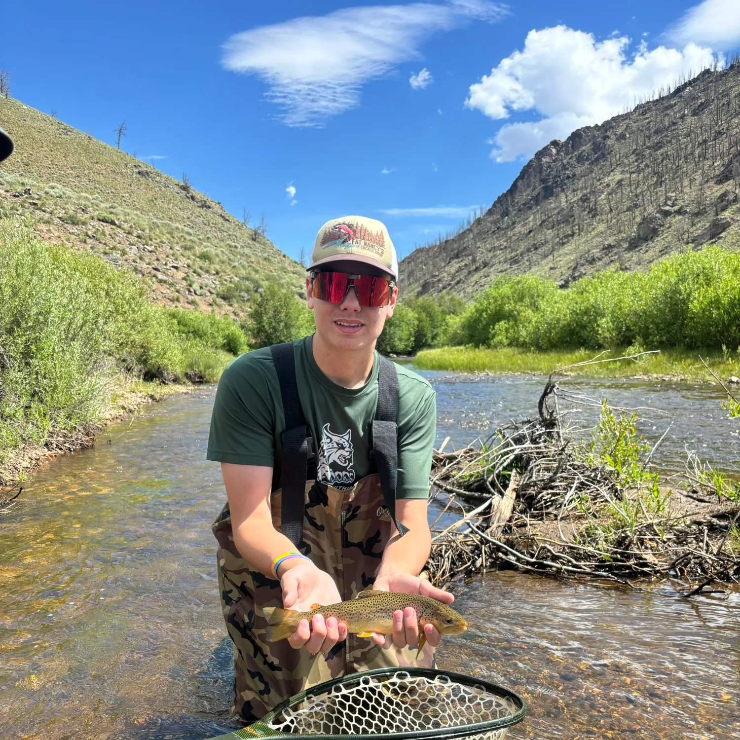 The most recent Brown trout catches on Fishbrain