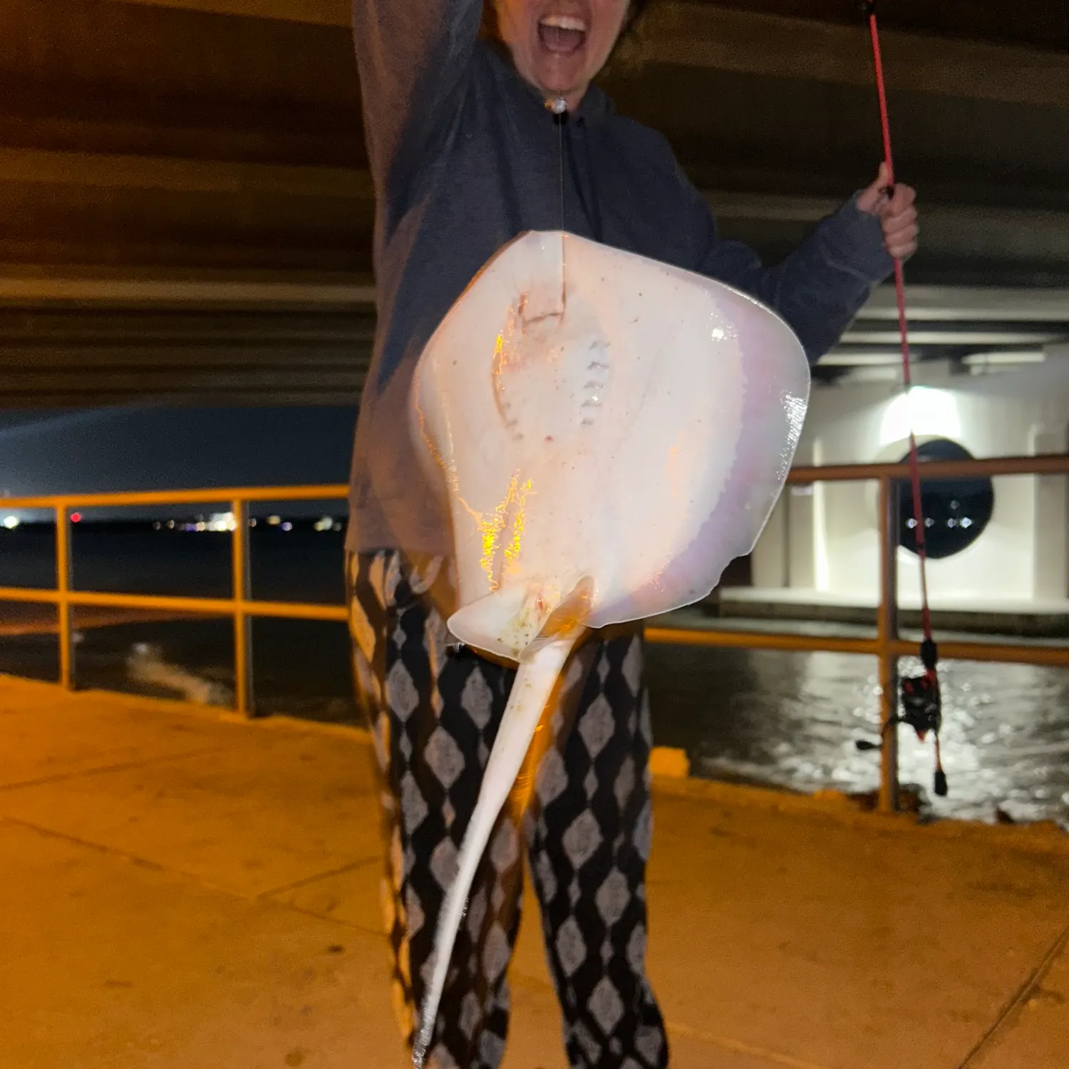 The most popular recent Southern stingray catch on Fishbrain