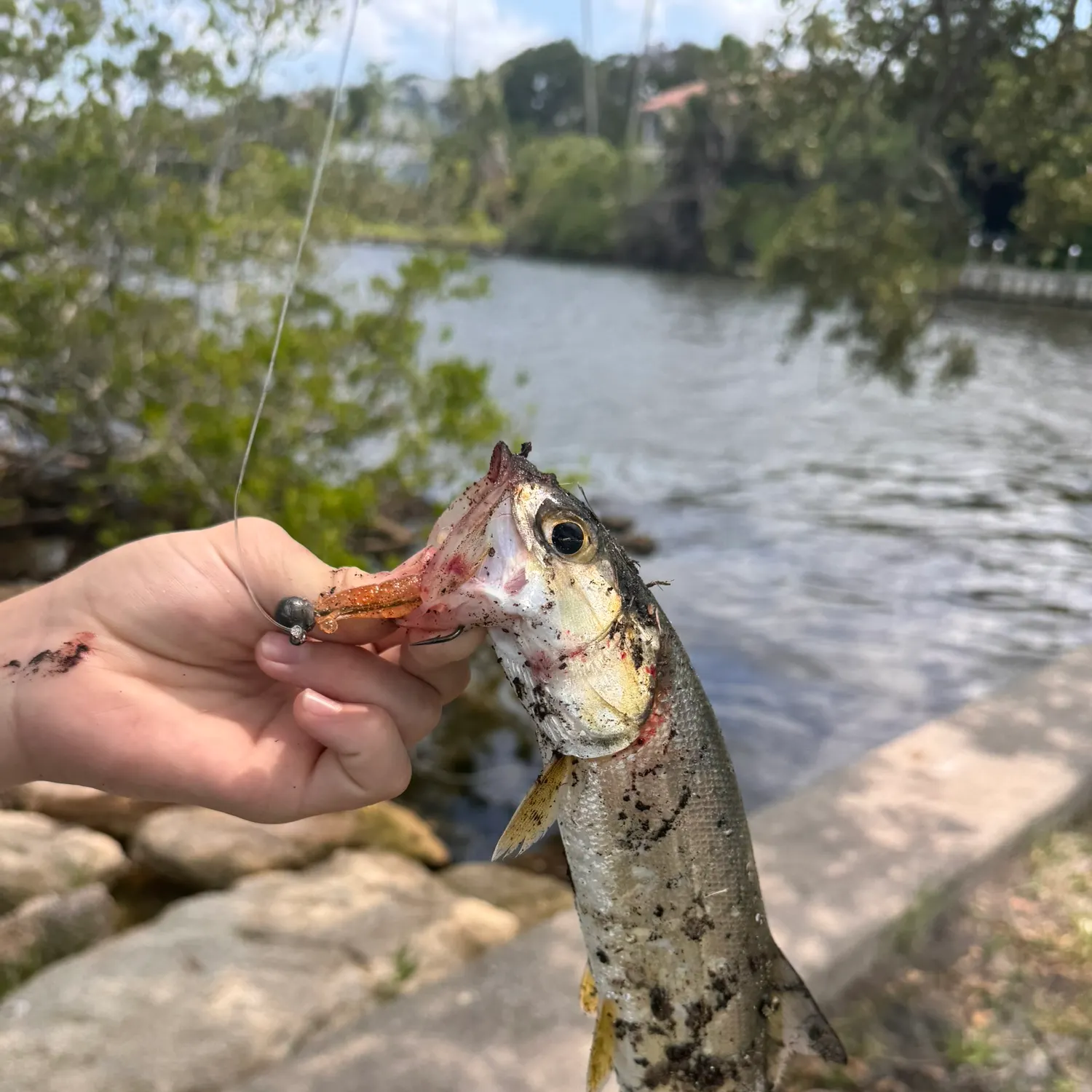 catch