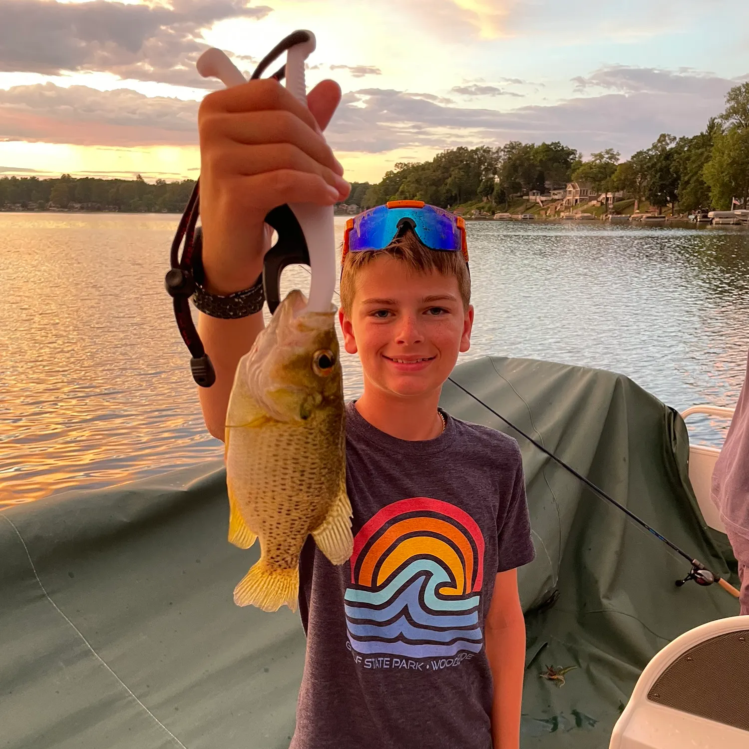 recently logged catches