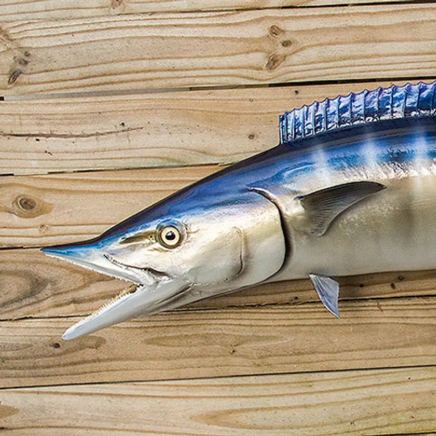 Indo-Pacific blue marlin caught on Fishbrain
