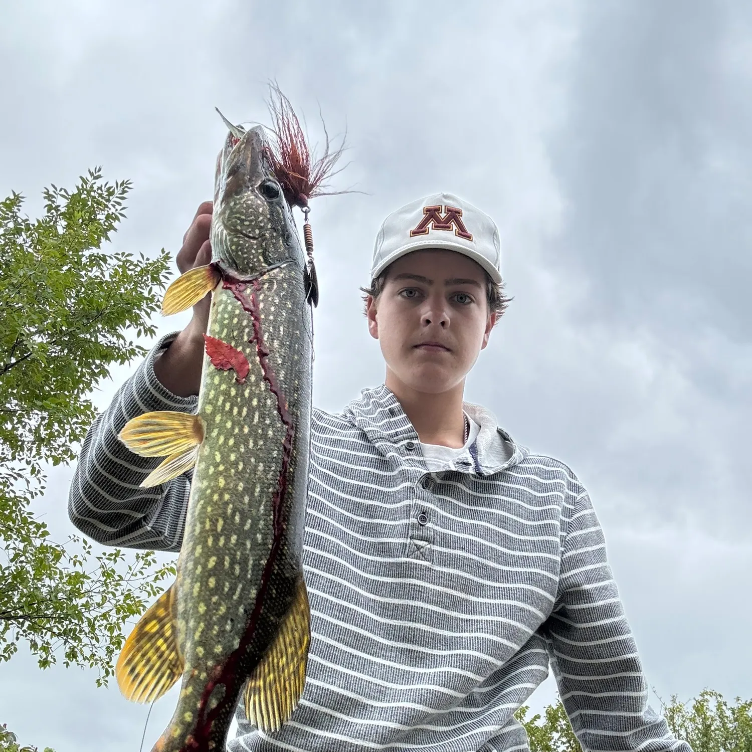 Northern pike caught on Fishbrain