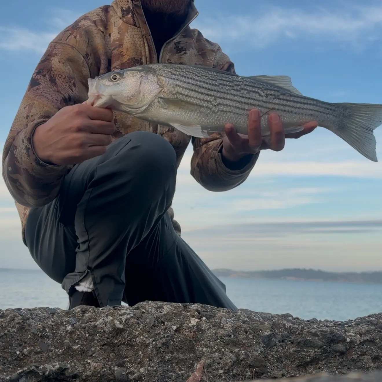 catch