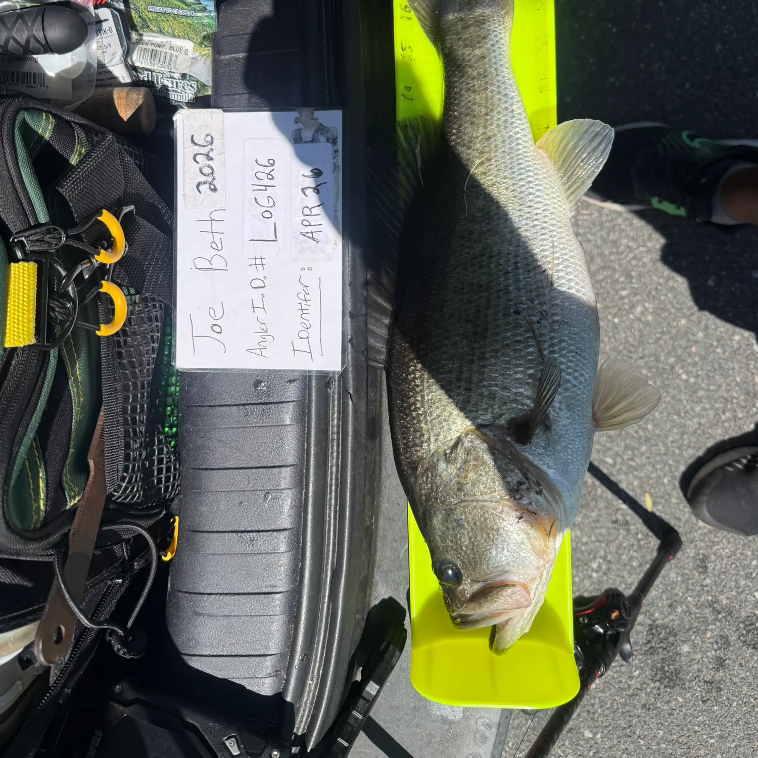 recently logged catches