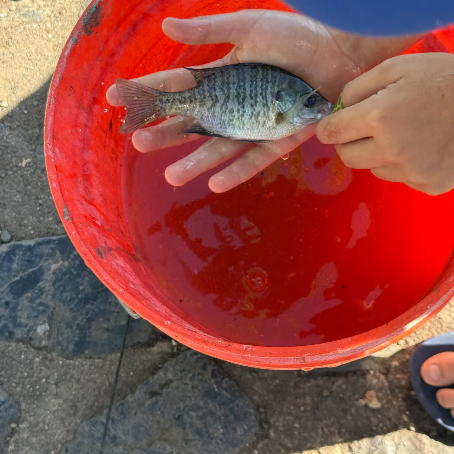 catch