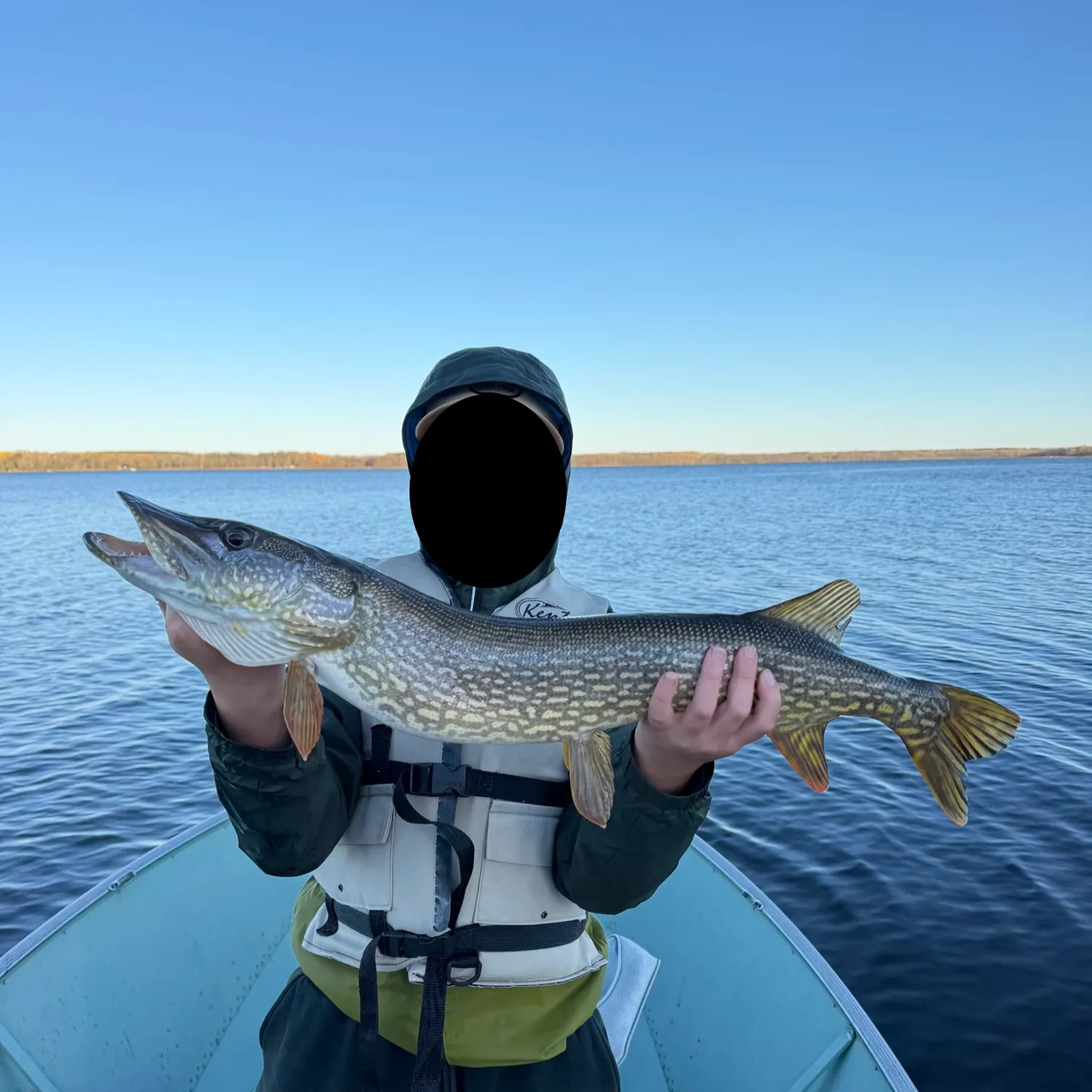 Northern pike caught on Fishbrain