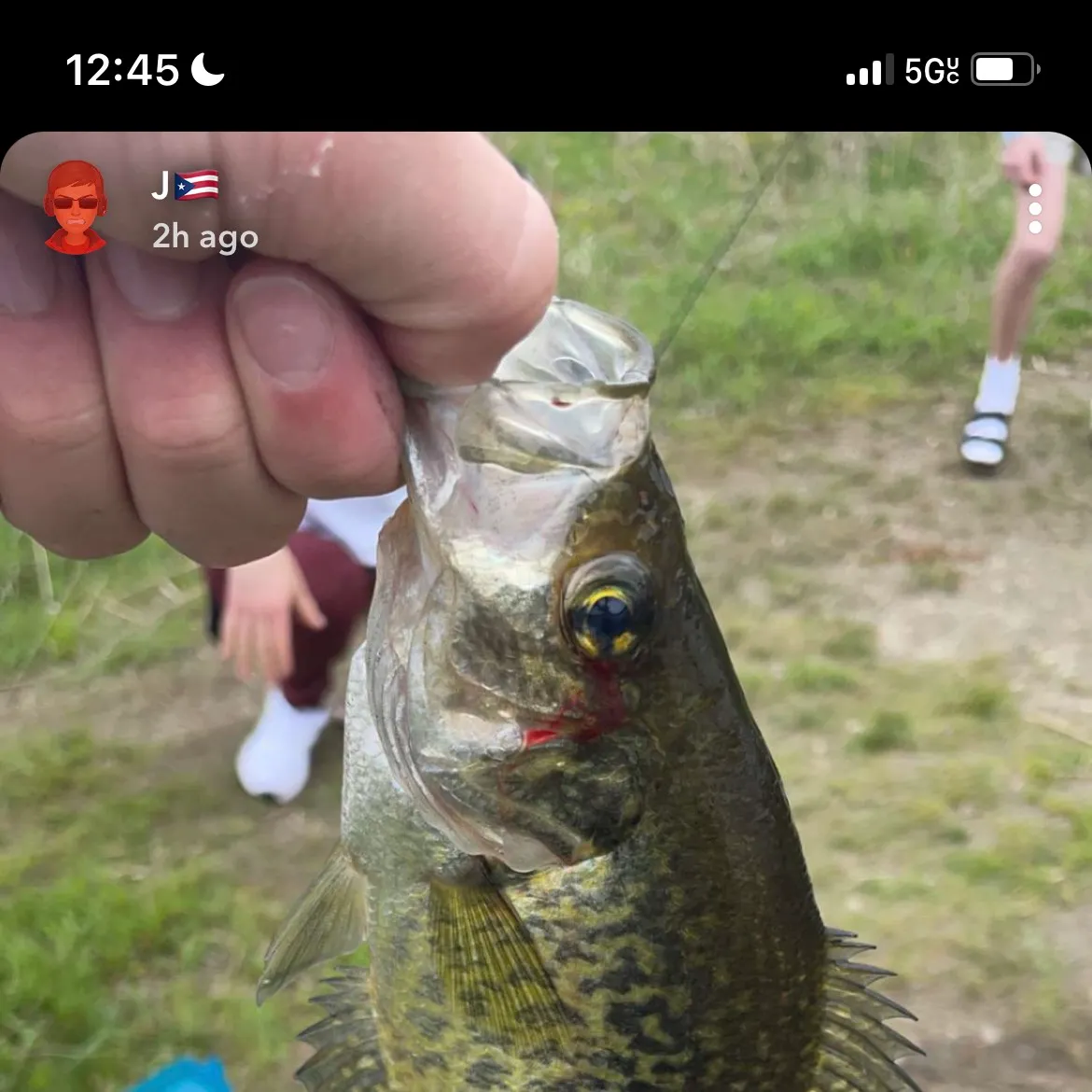 recently logged catches