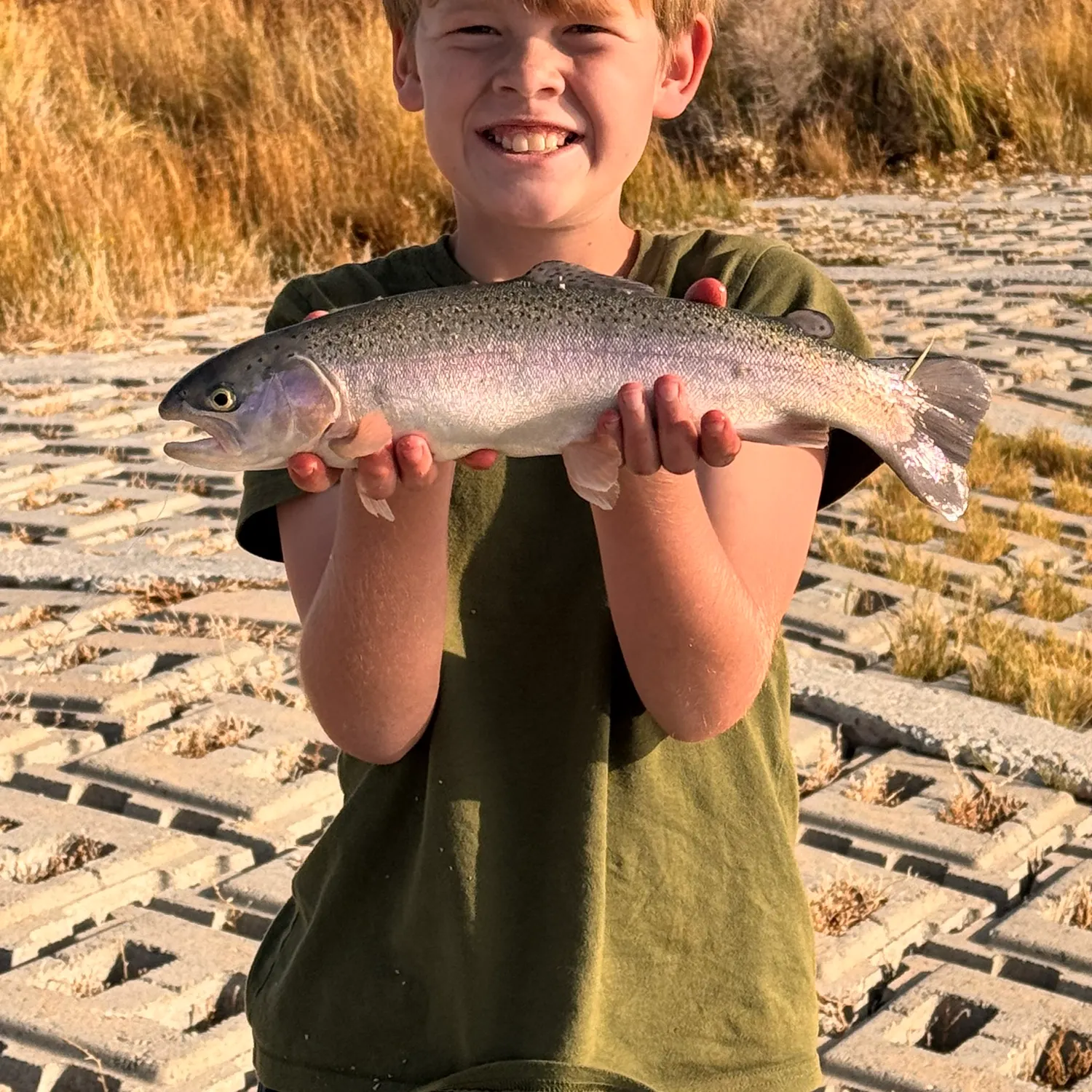 Rainbow trout caught on Fishbrain