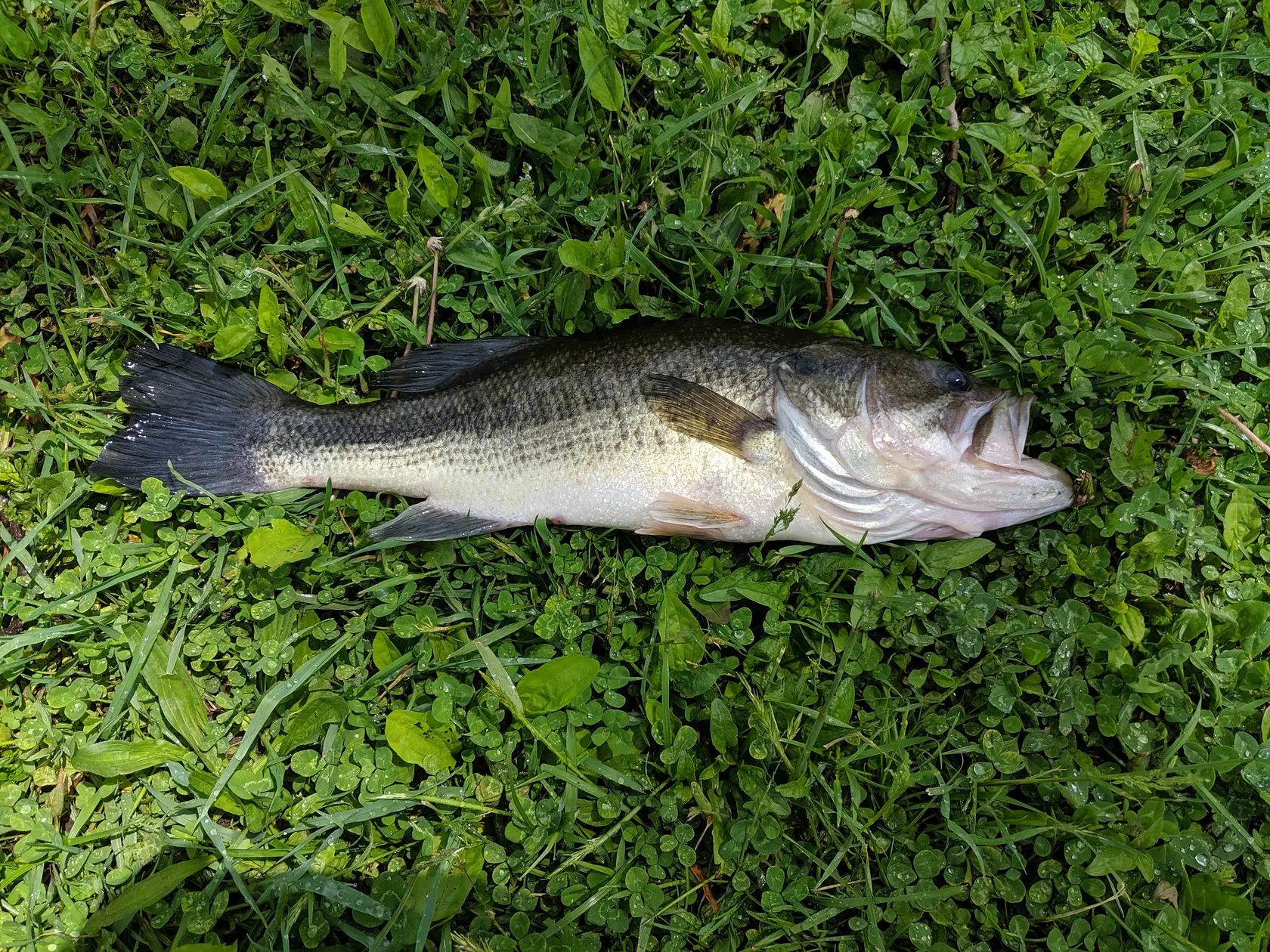 Post image from rg1993