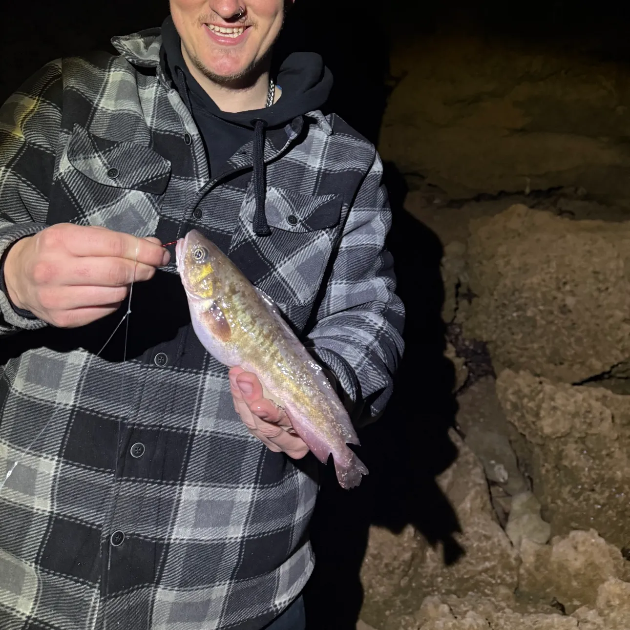 The most recent Red codling catches on Fishbrain