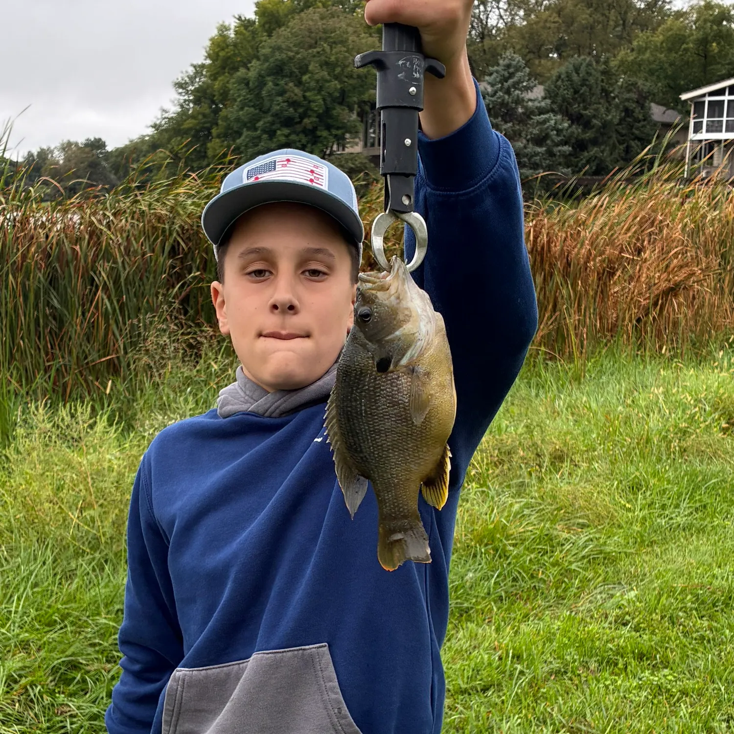 Green sunfish caught on Fishbrain