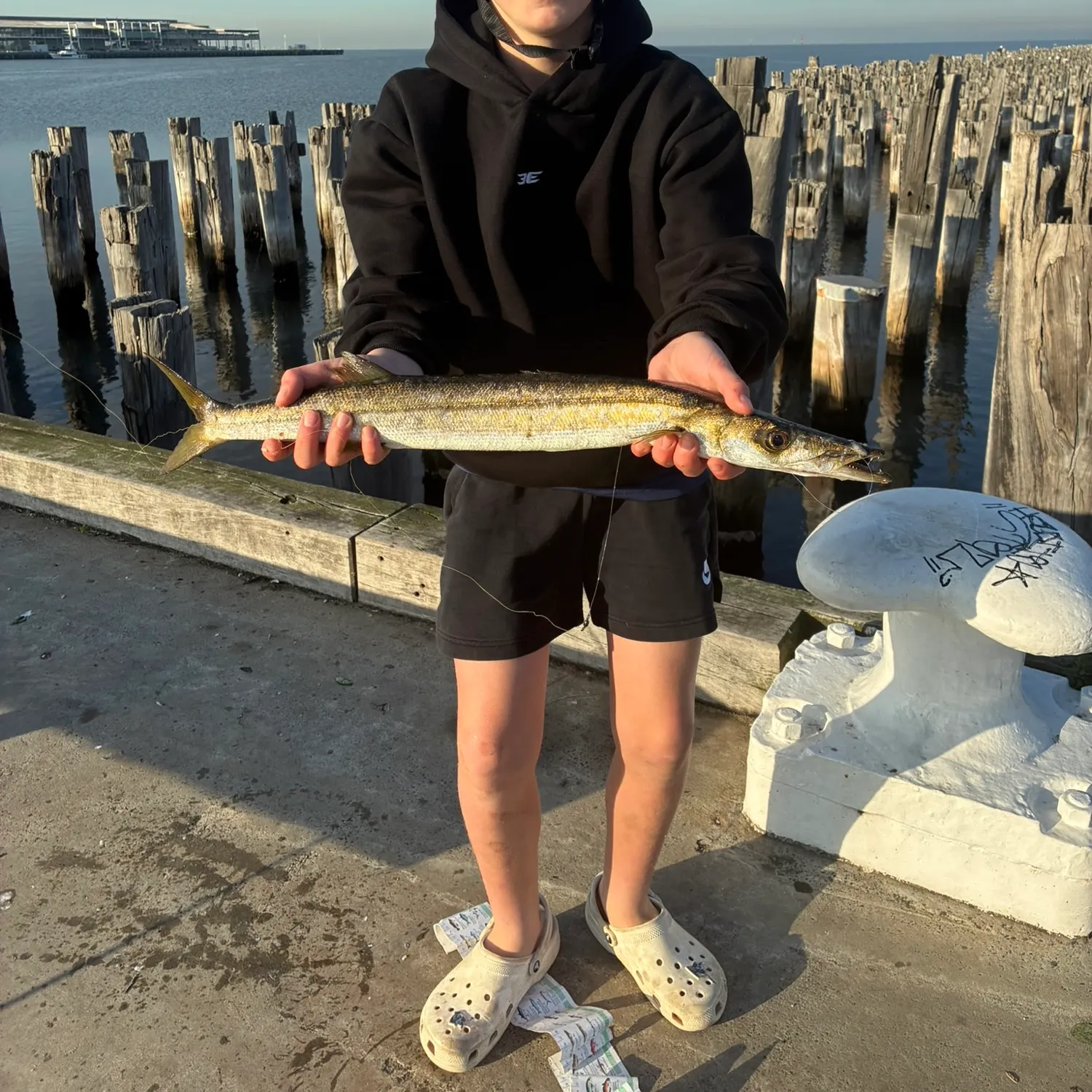 The most recent Longfin pike catches on Fishbrain