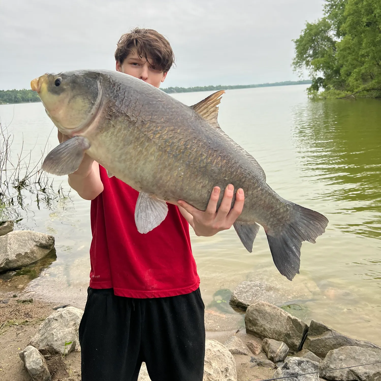 The most recent Bigmouth buffalo catches on Fishbrain