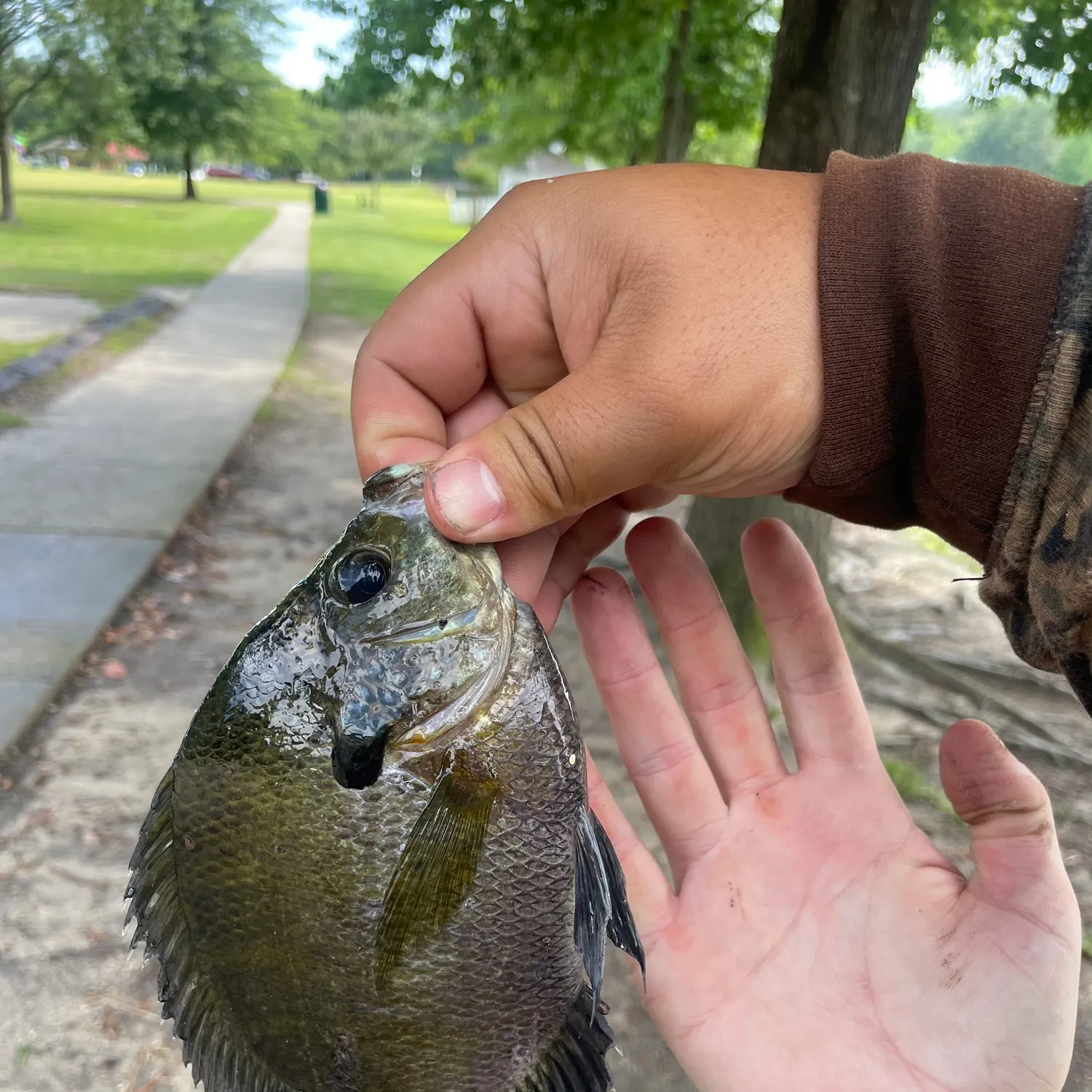 catch