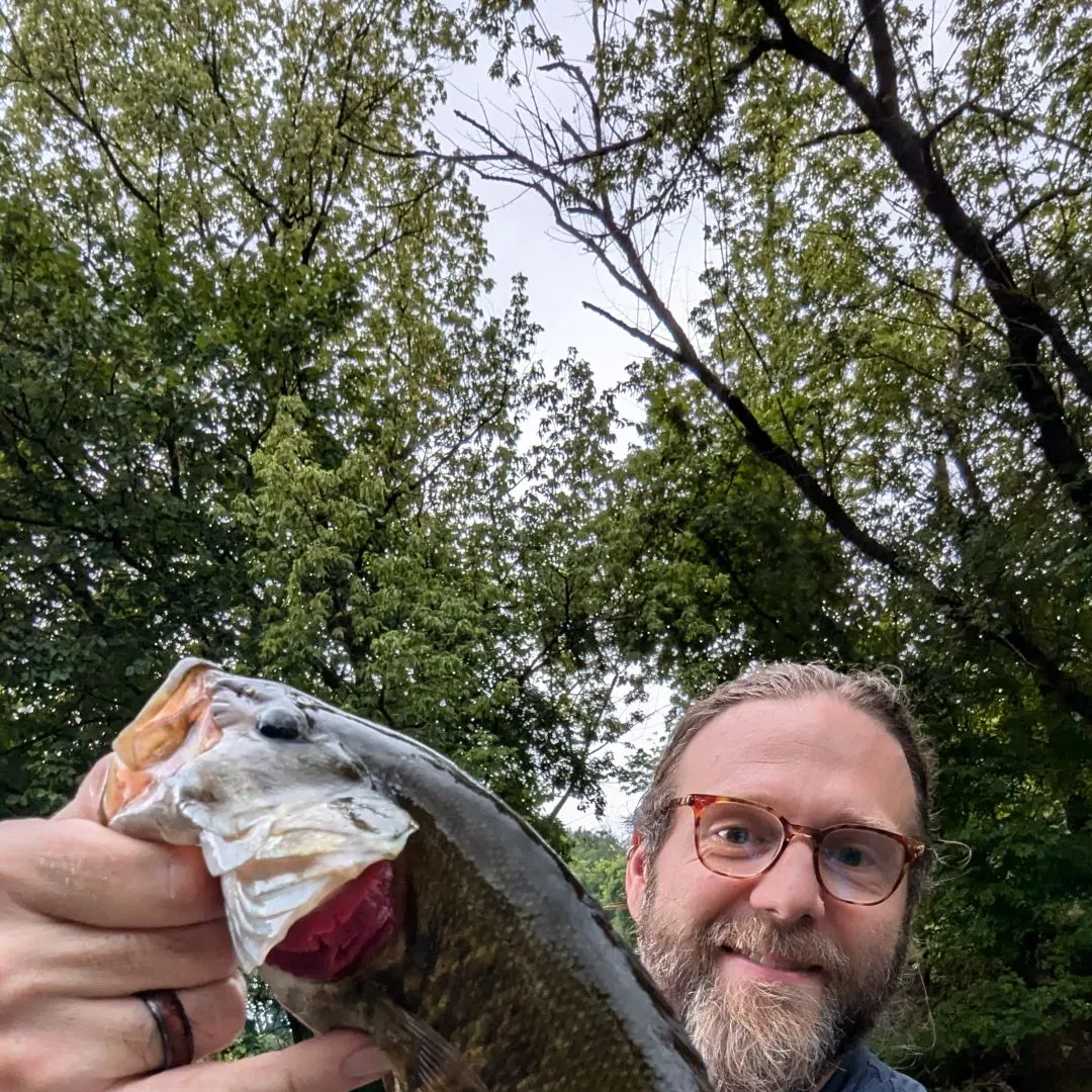 angler catch