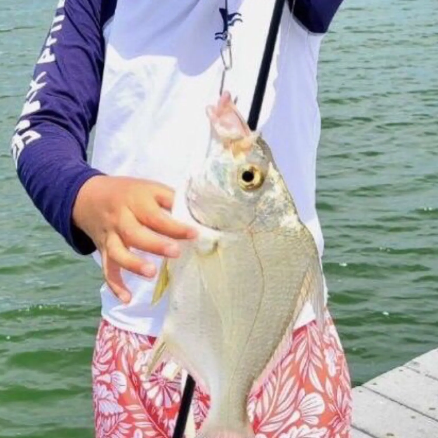 The most popular recent Striped mojarra catch on Fishbrain