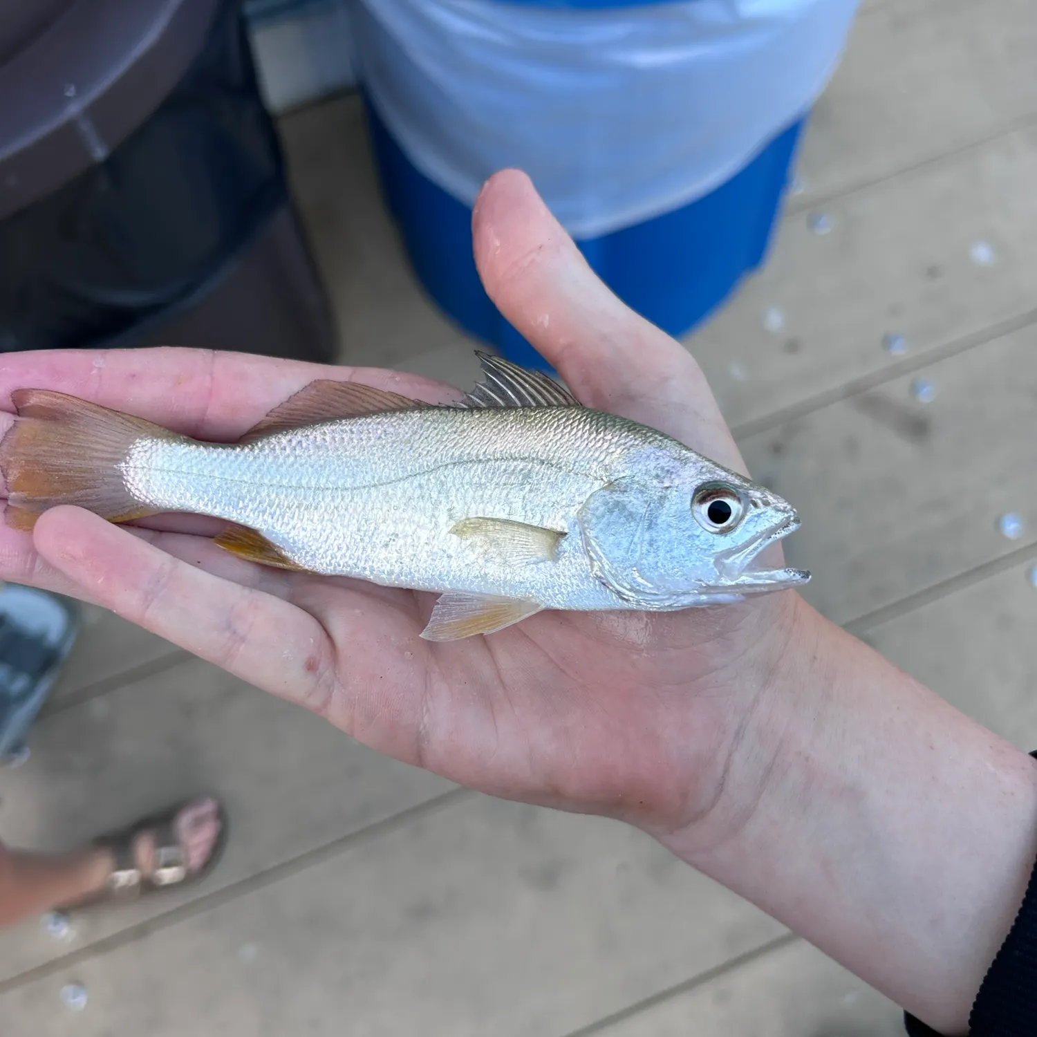 catch