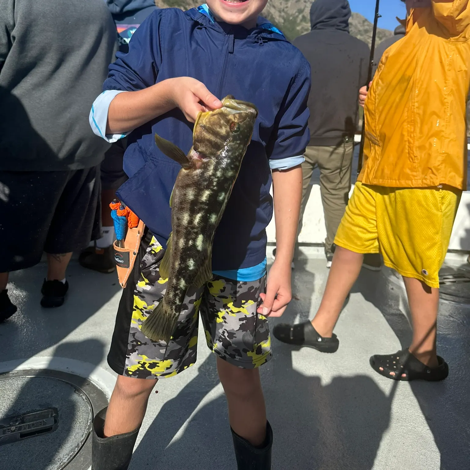 The most recent Kelp bass catches on Fishbrain