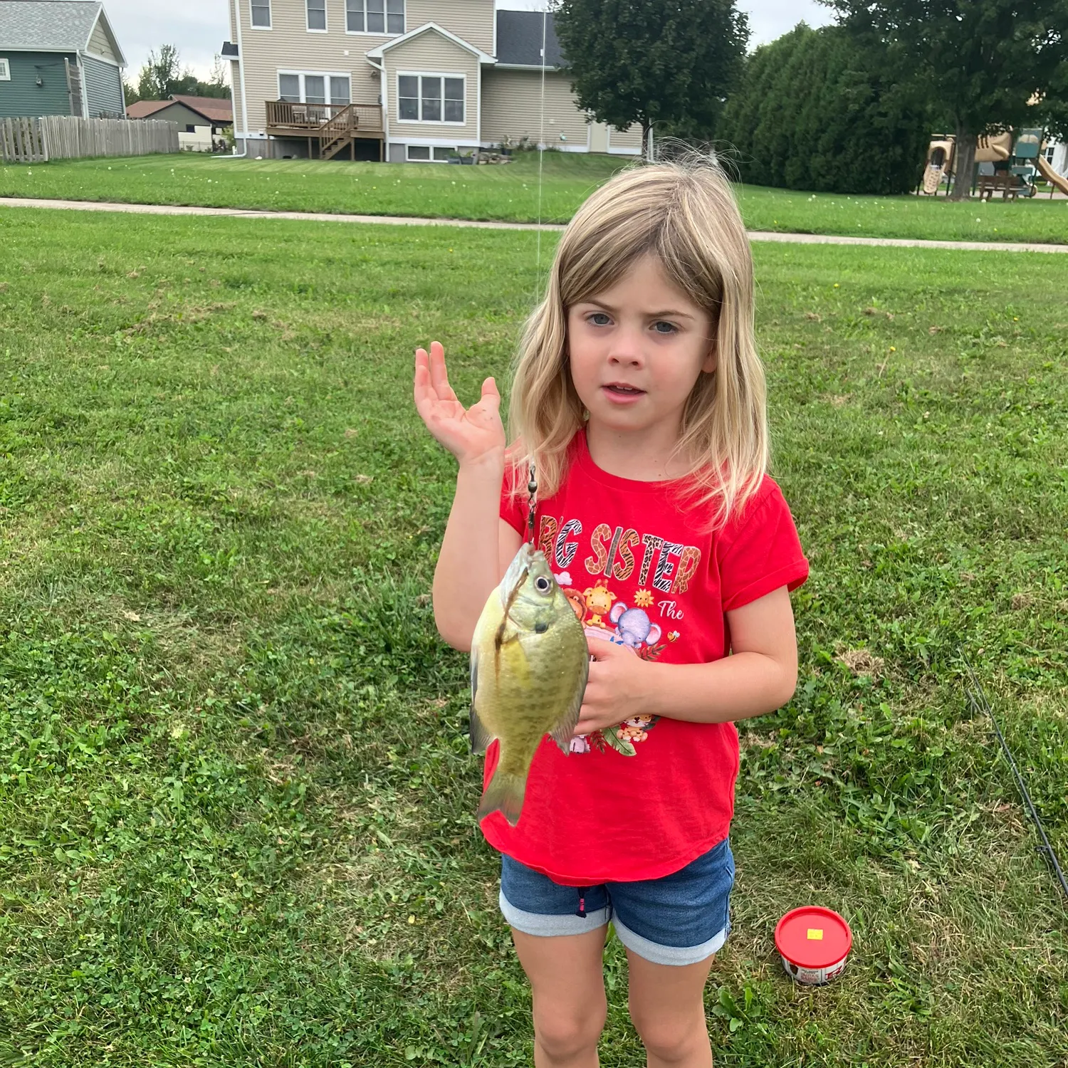 Bluegill caught on Fishbrain