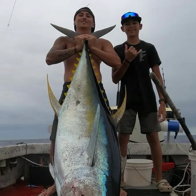 Yellowfin tuna caught on Fishbrain