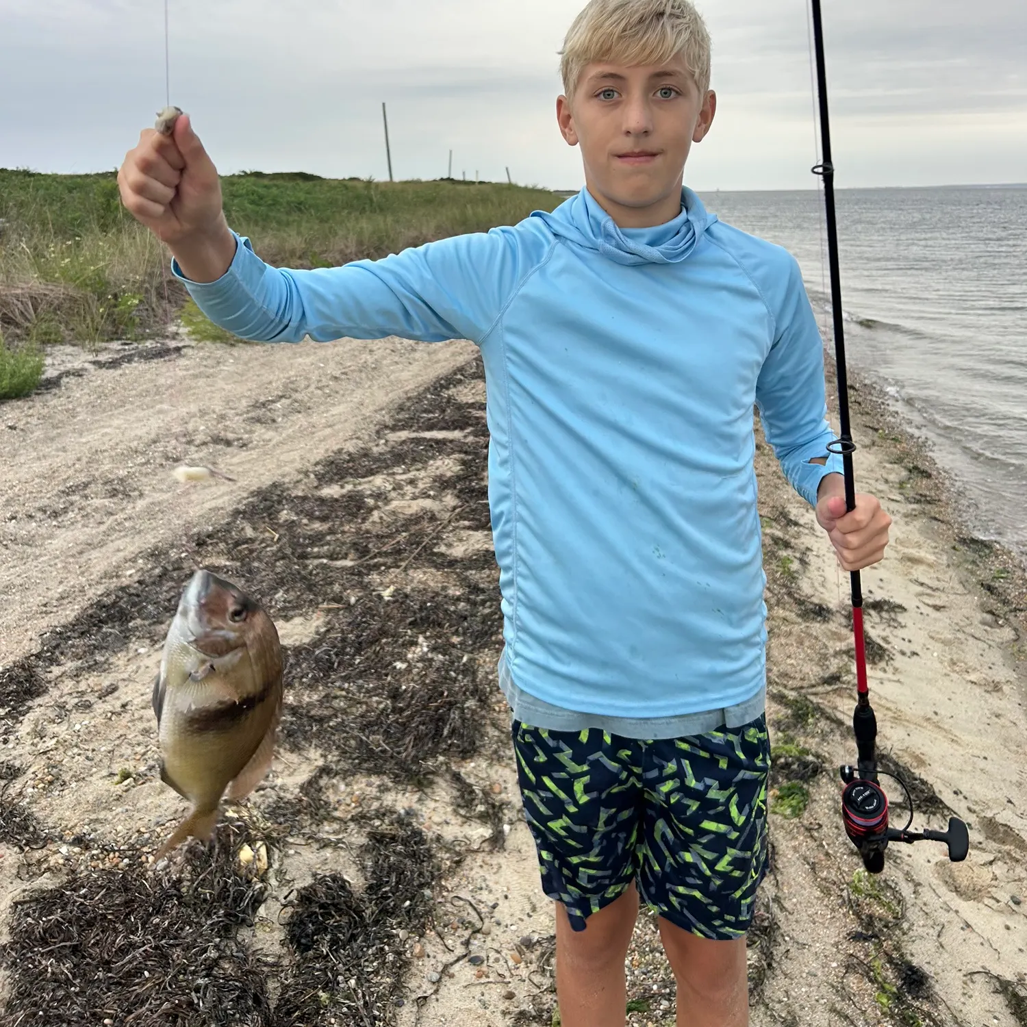 Scup caught on Fishbrain