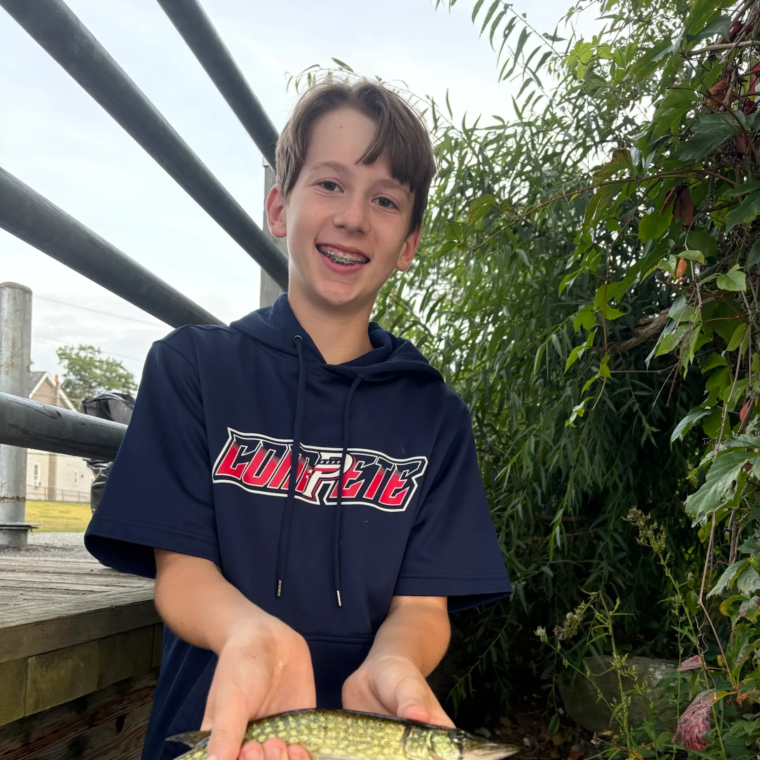 Chain pickerel caught on Fishbrain