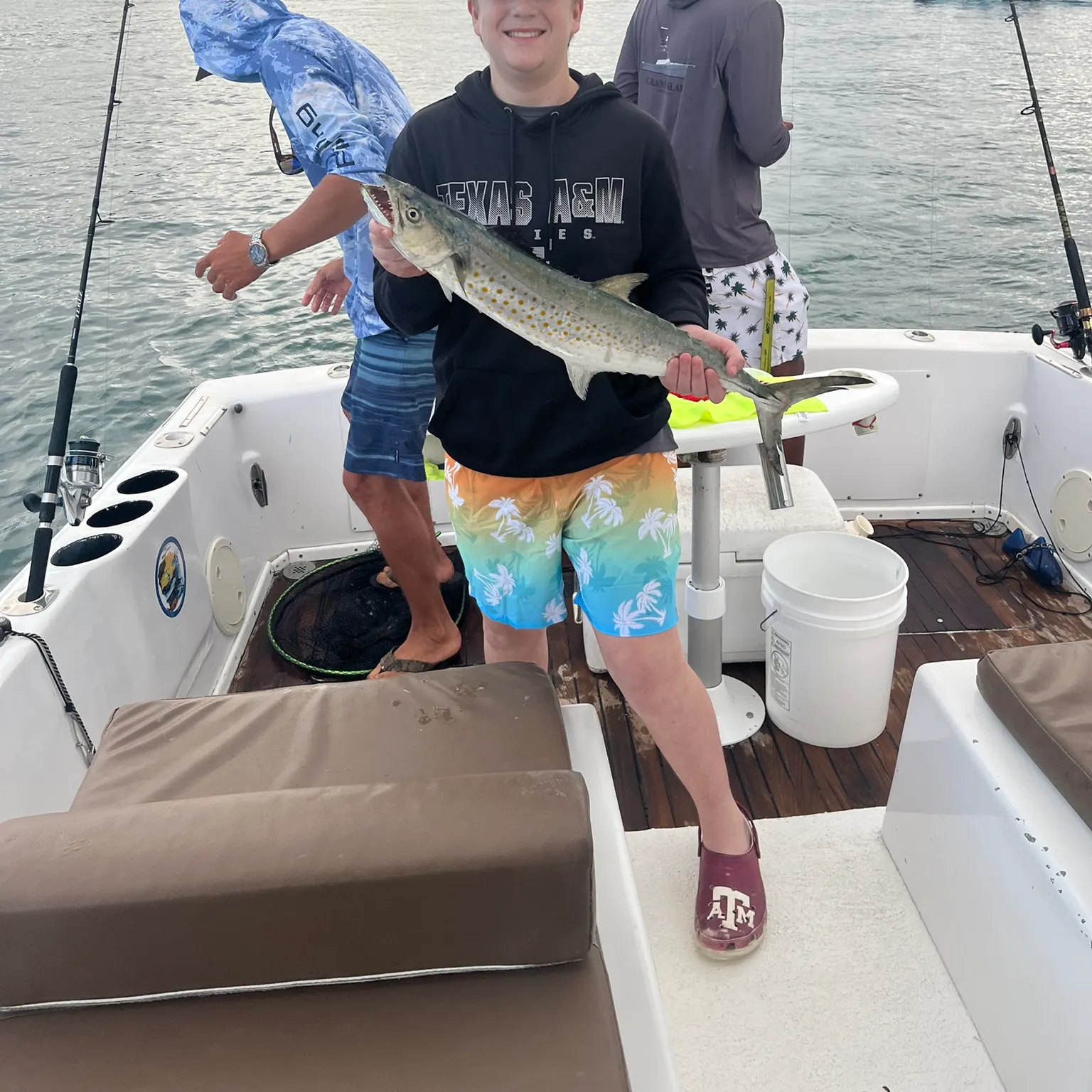 The most recent Spanish mackerel catches on Fishbrain
