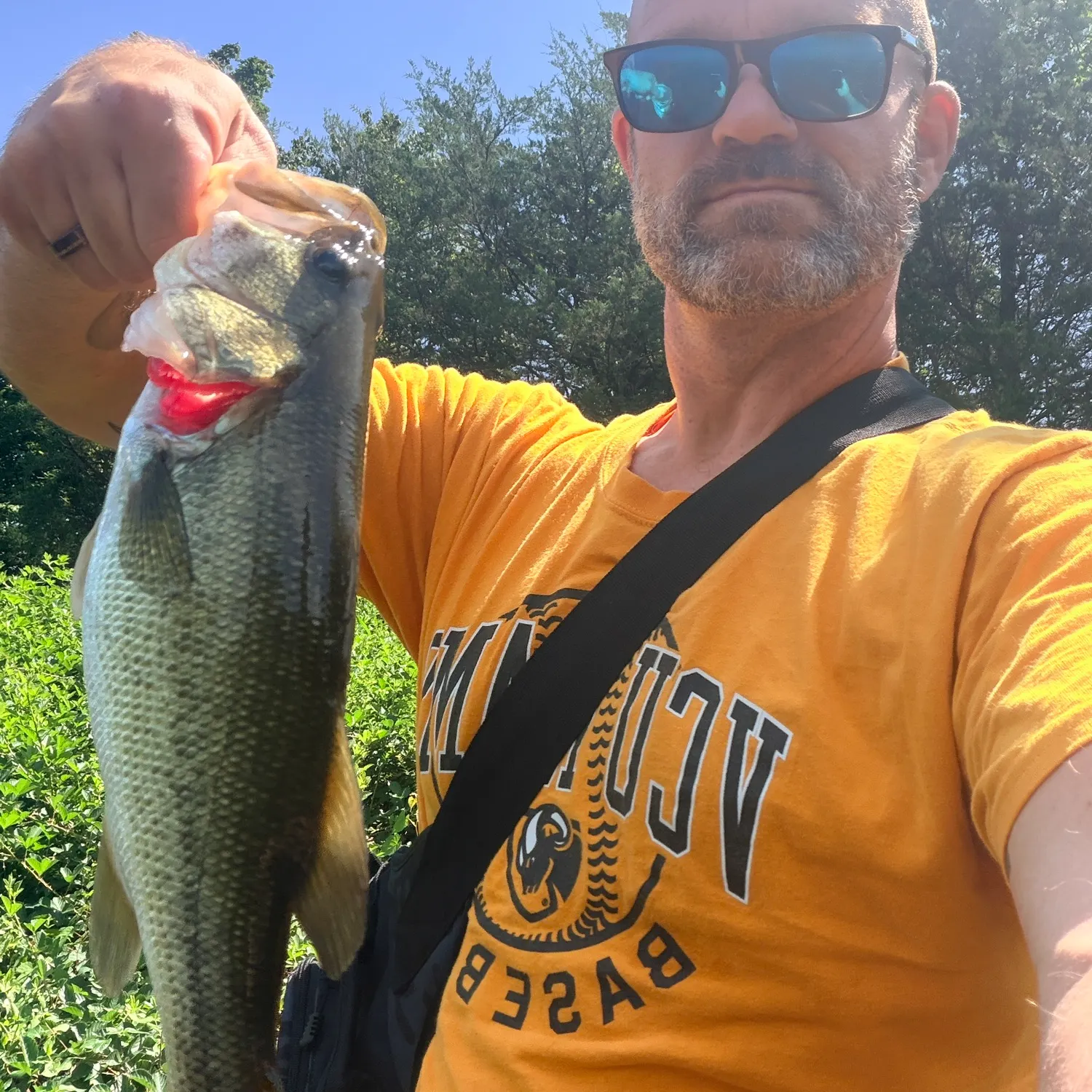 Largemouth bass caught on Fishbrain