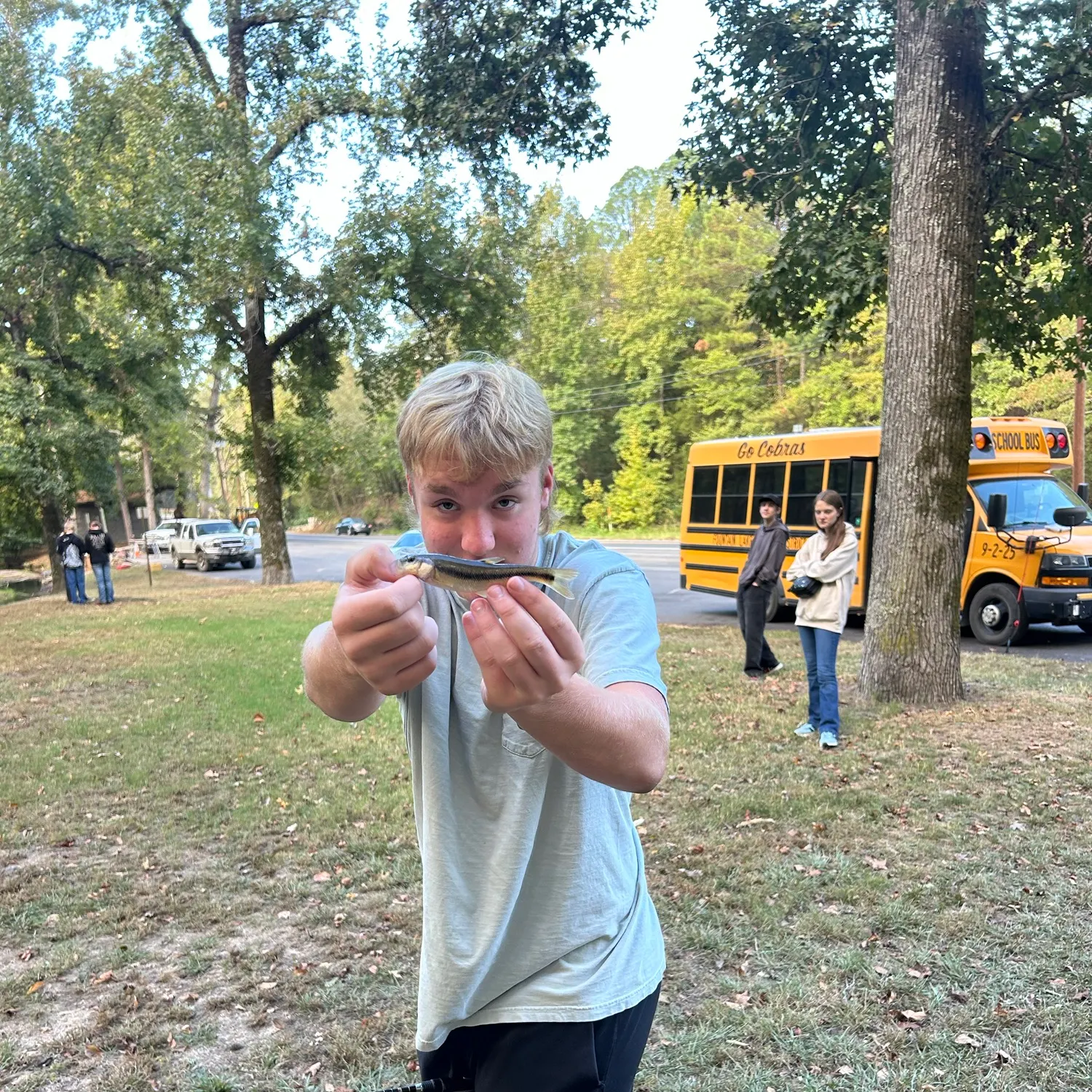 Creek chub caught on Fishbrain