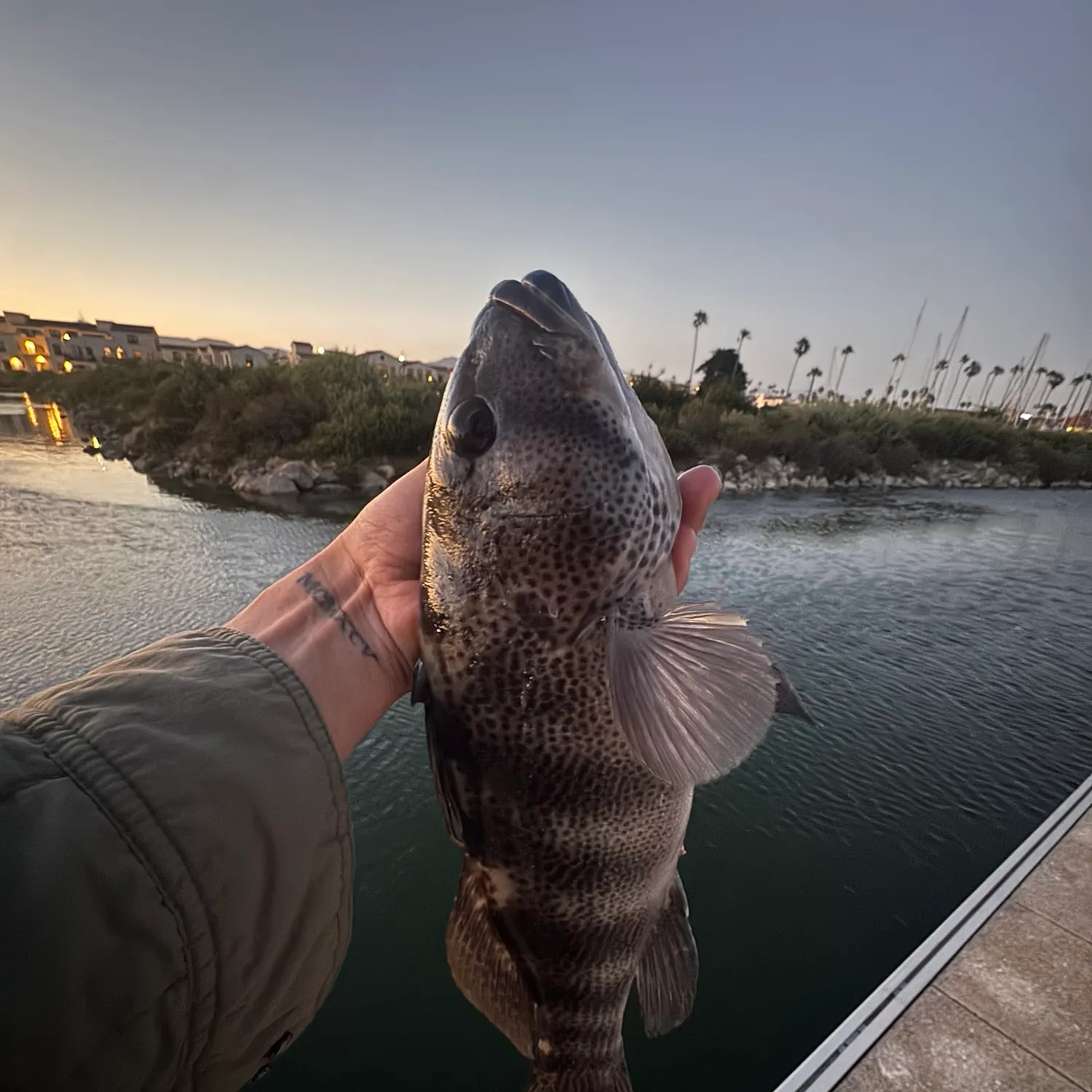 catch