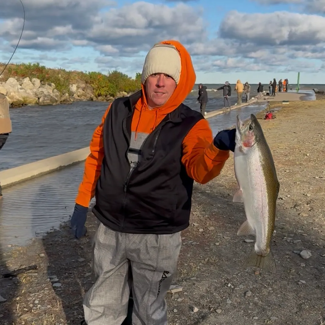 Steelhead caught on Fishbrain