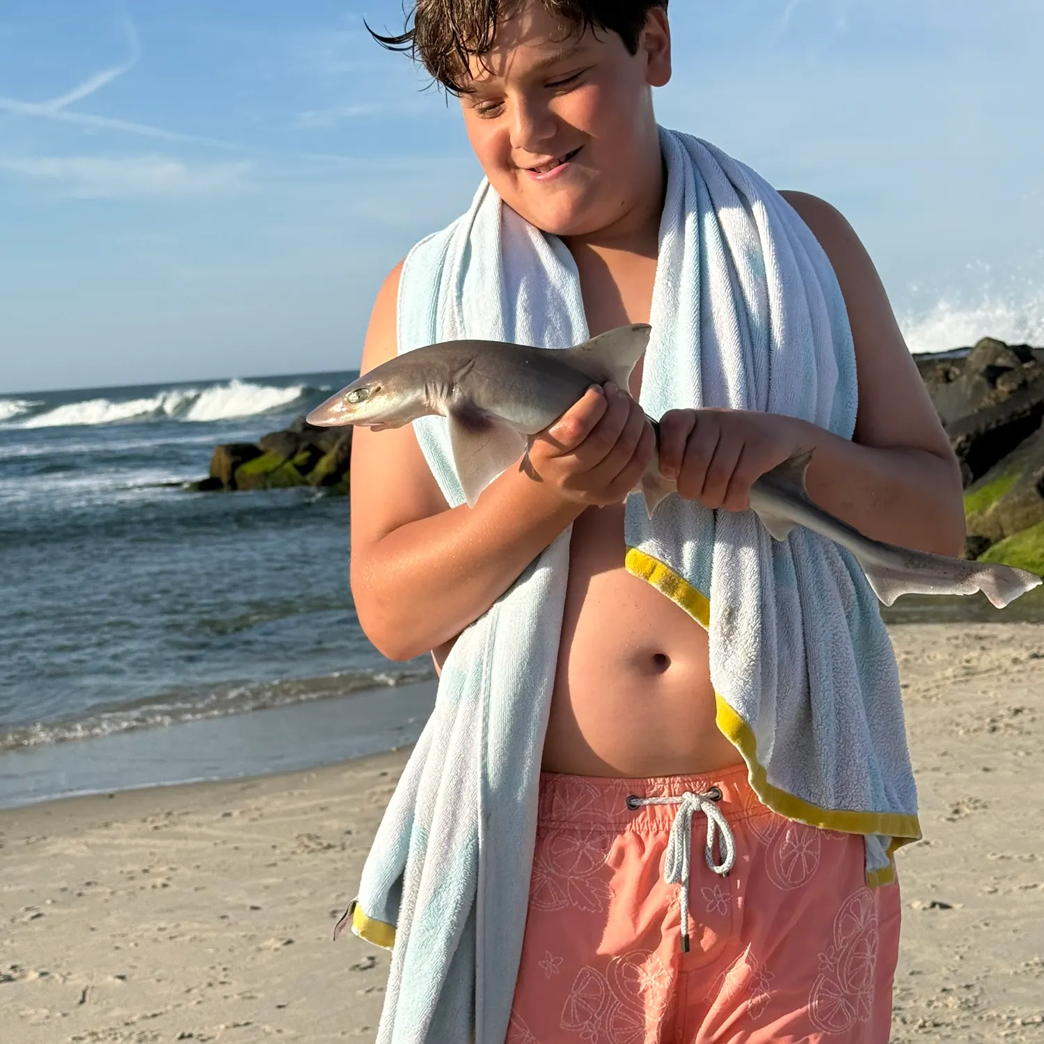 The most recent Grey smooth-hound catches on Fishbrain