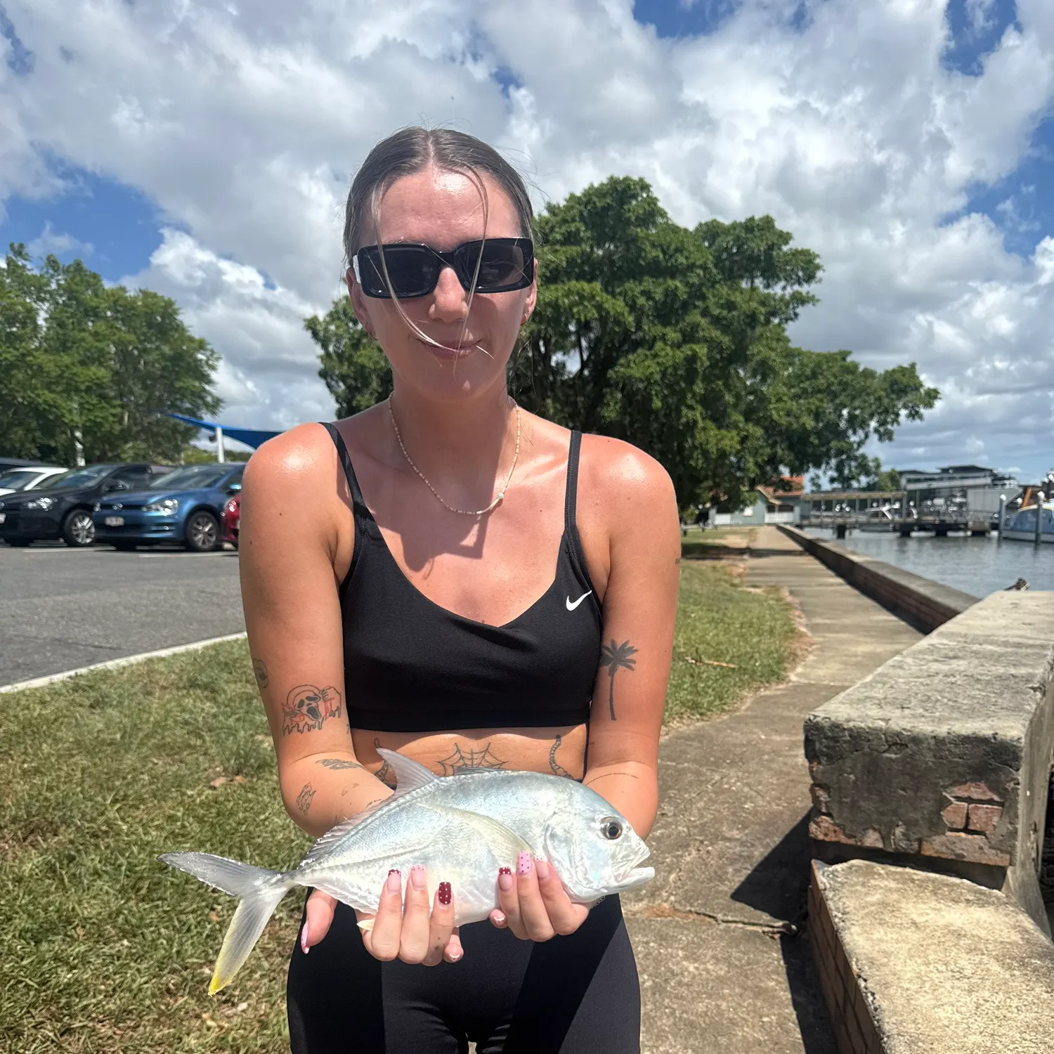 The most recent Brassy trevally catches on Fishbrain