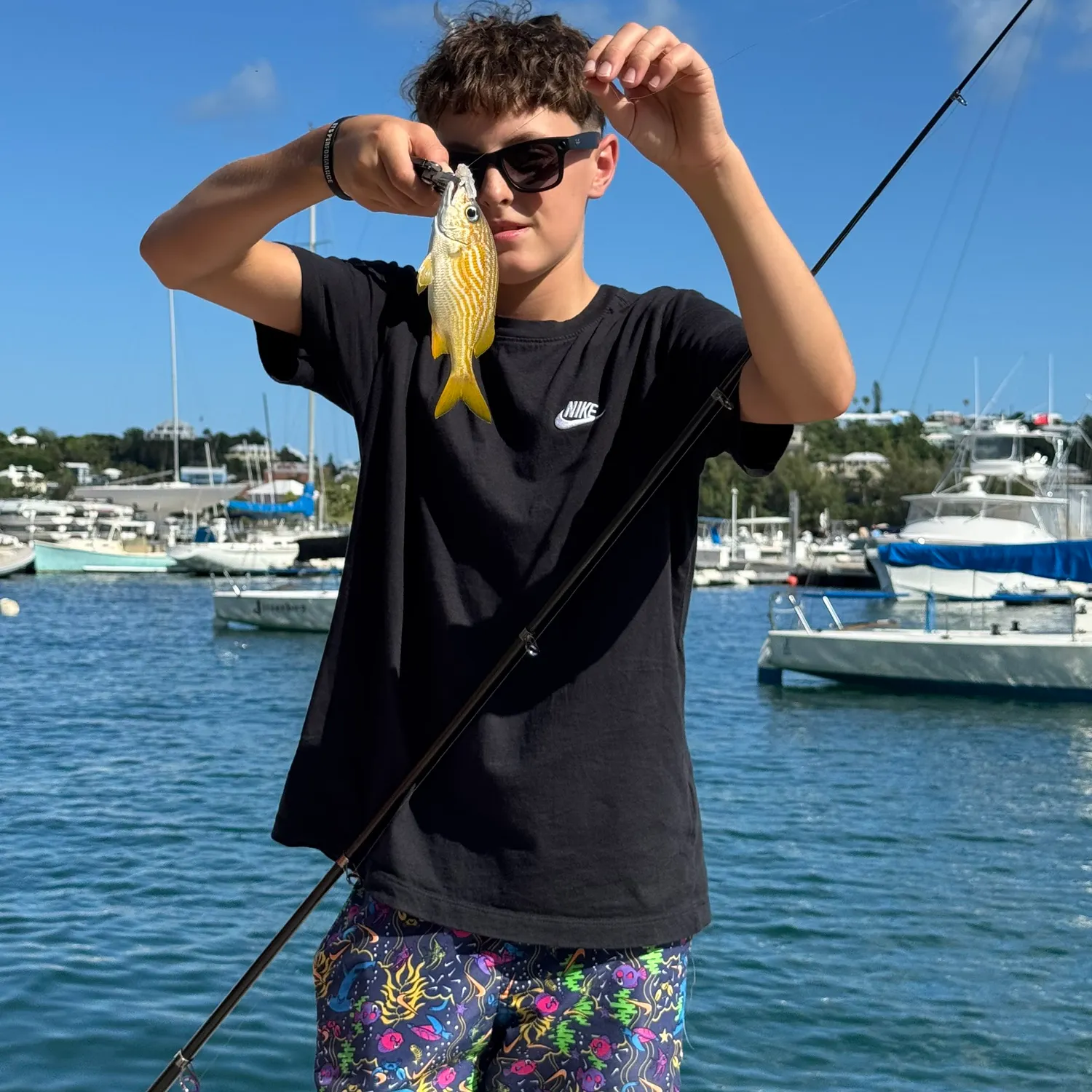 Pinfish caught on Fishbrain