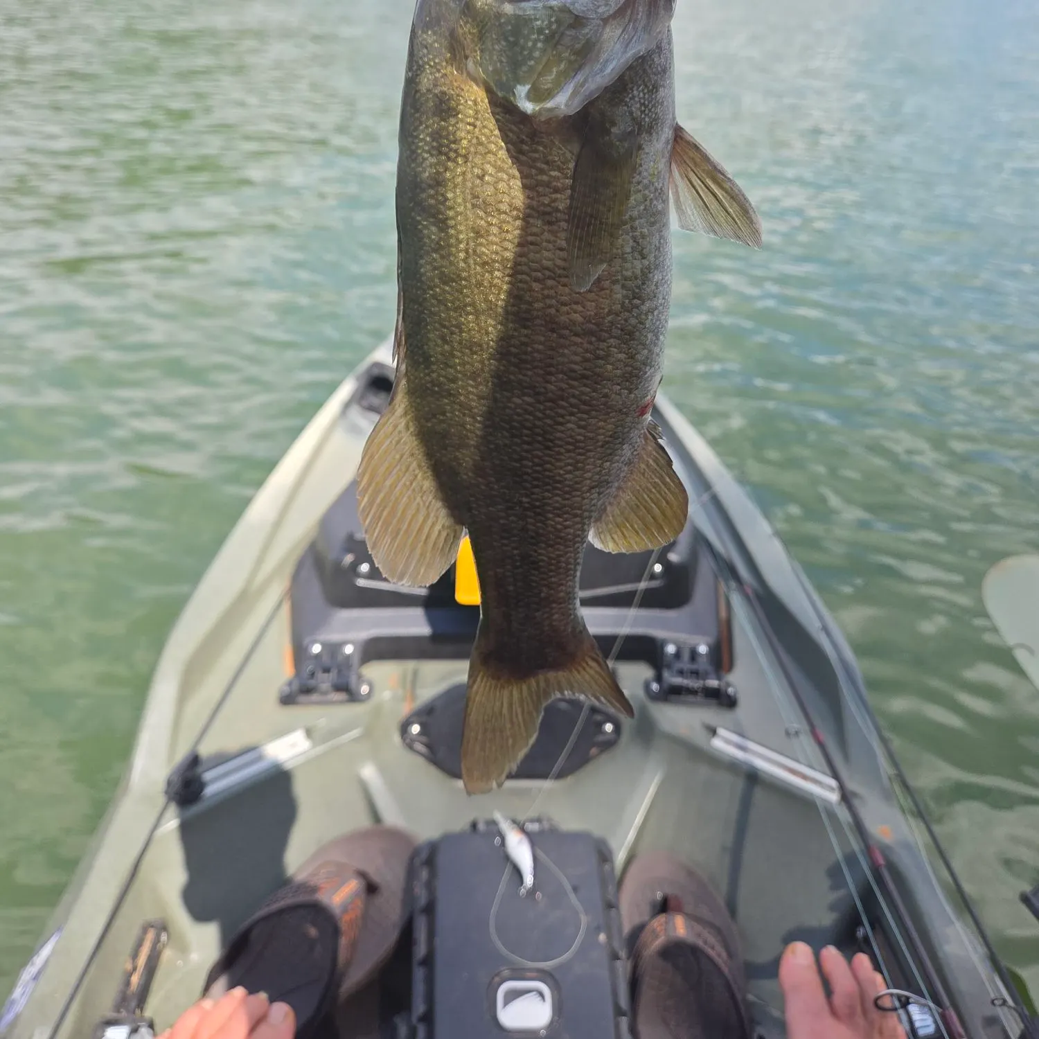 Smallmouth bass caught on Fishbrain