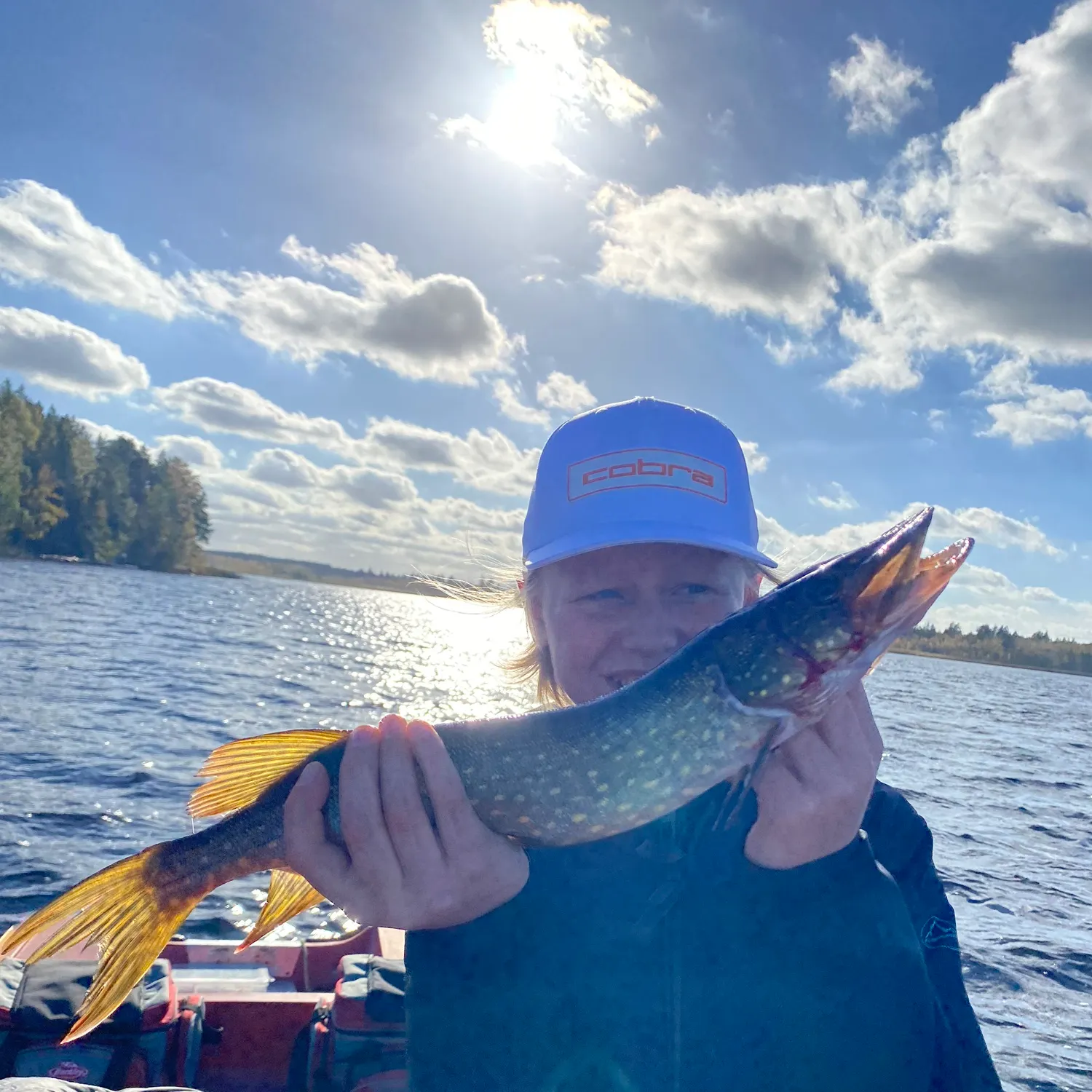Northern pike caught on Fishbrain