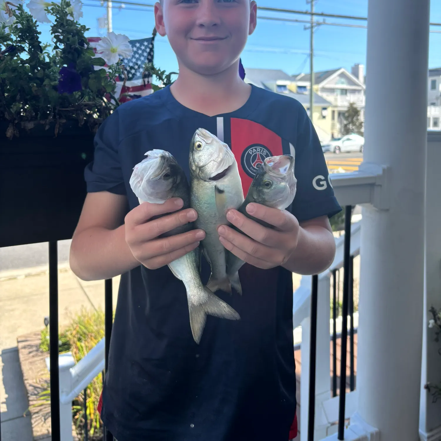 The most recent Bluefish catches on Fishbrain