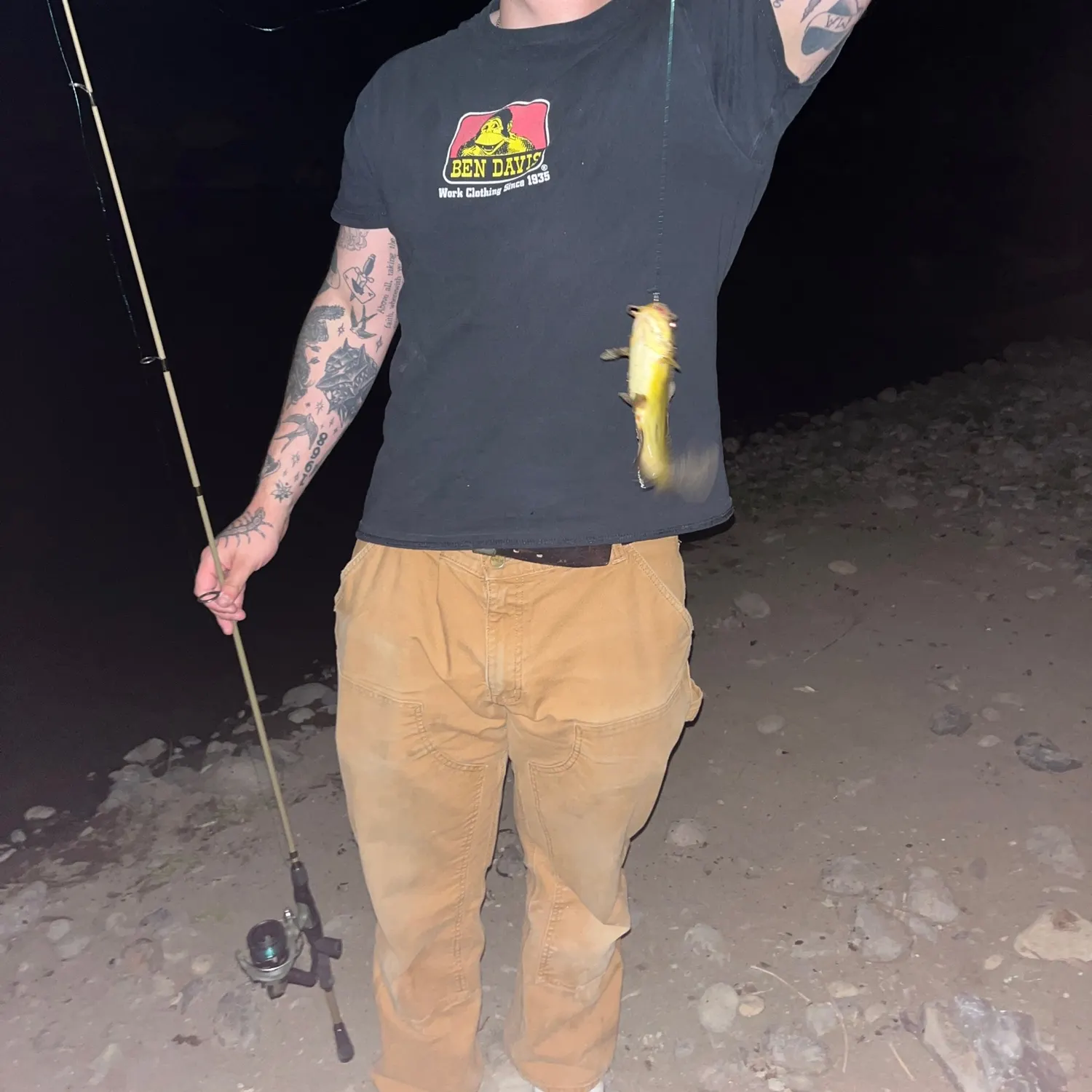 Yellow bullhead caught on Fishbrain
