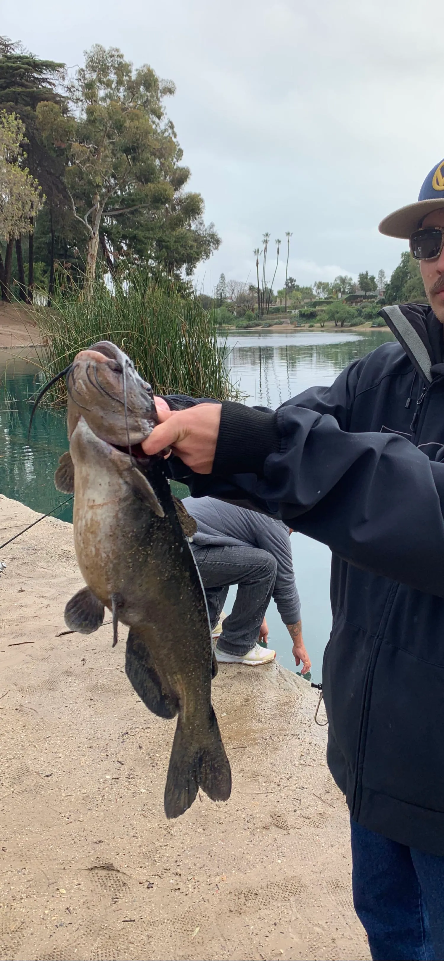 Post image from cdelatorre4451