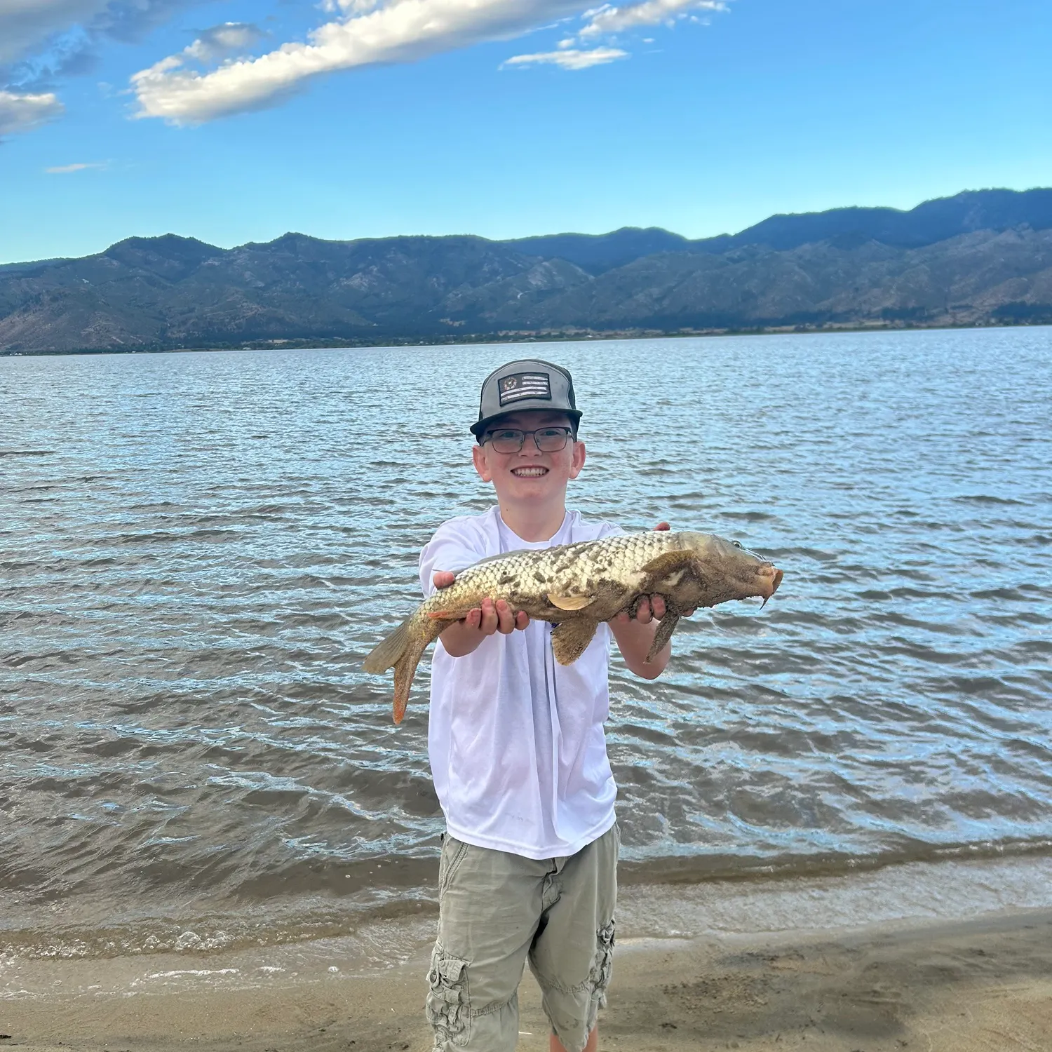 Common carp caught on Fishbrain