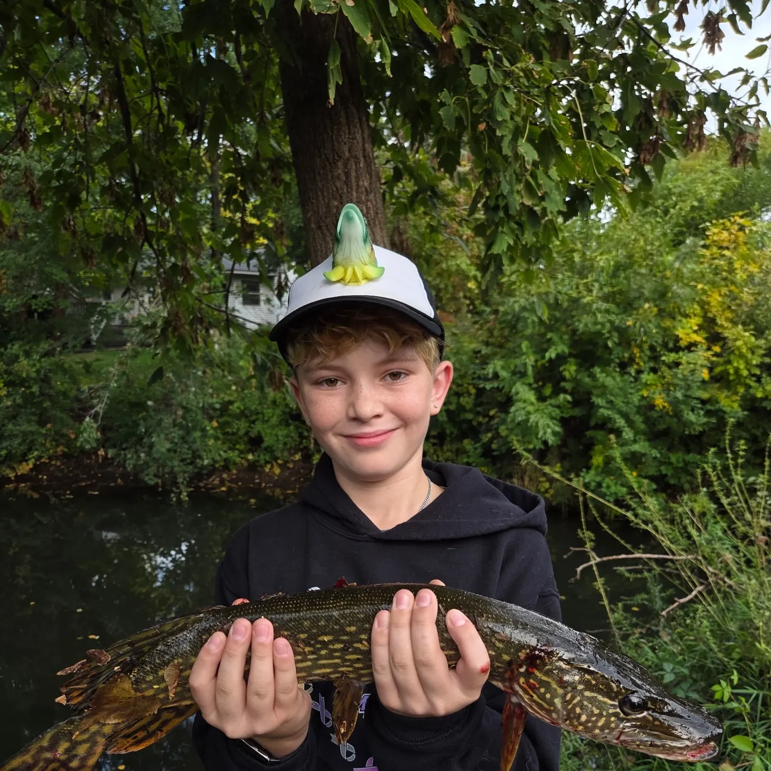 Northern pike caught on Fishbrain