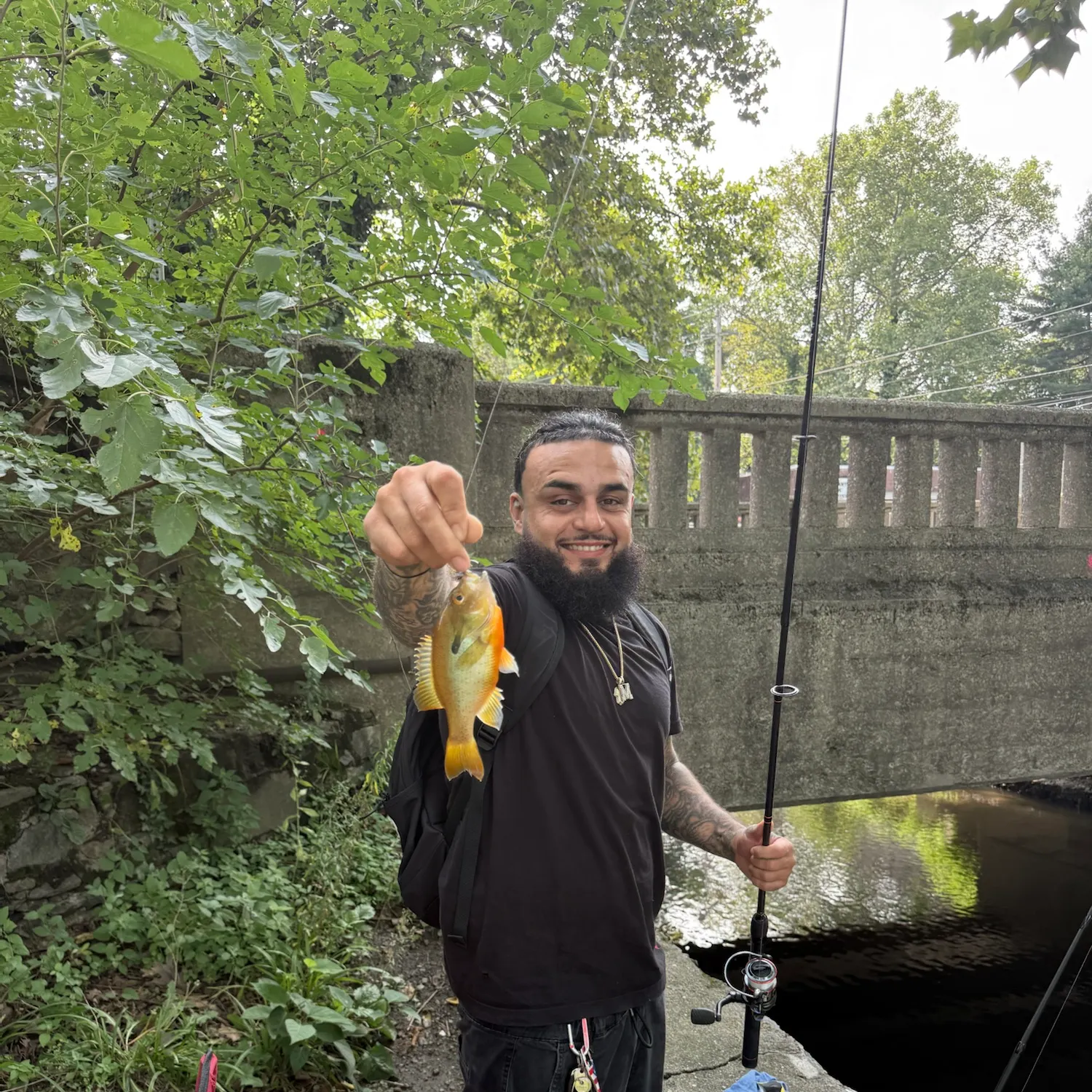 Redbreast sunfish caught on Fishbrain