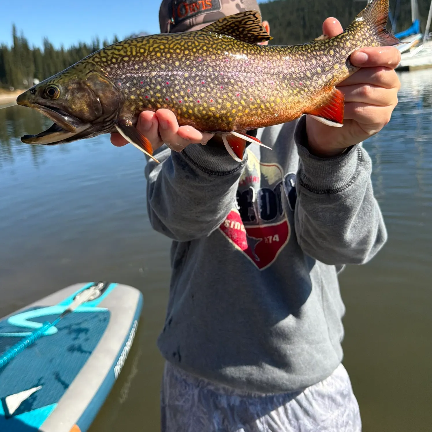 Brook trout caught on Fishbrain