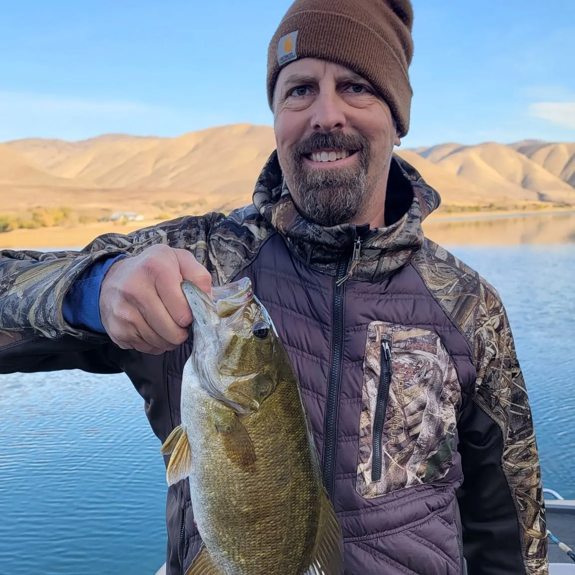 Smallmouth bass caught on Fishbrain